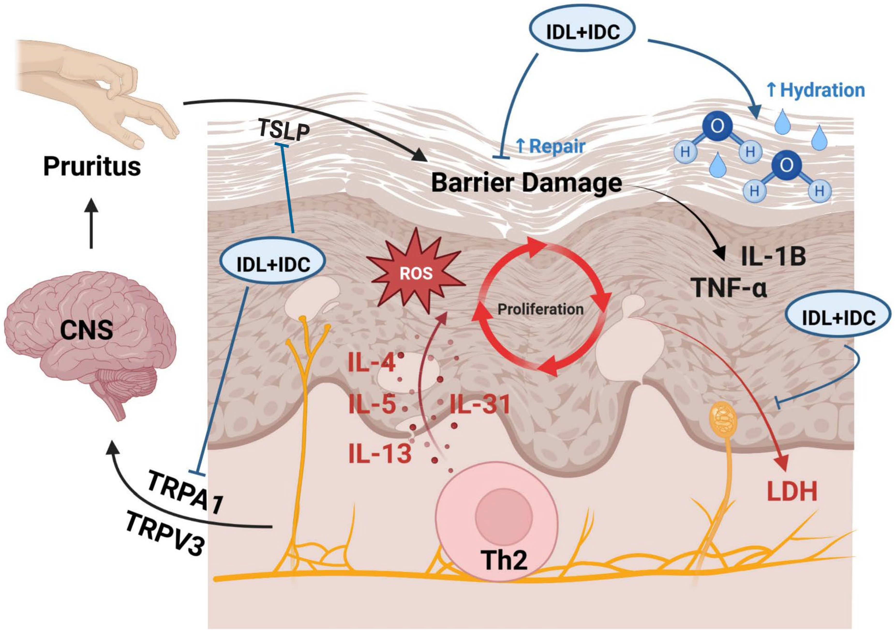 Ijms 26 11855 g002 Ijms 26 11855 g002