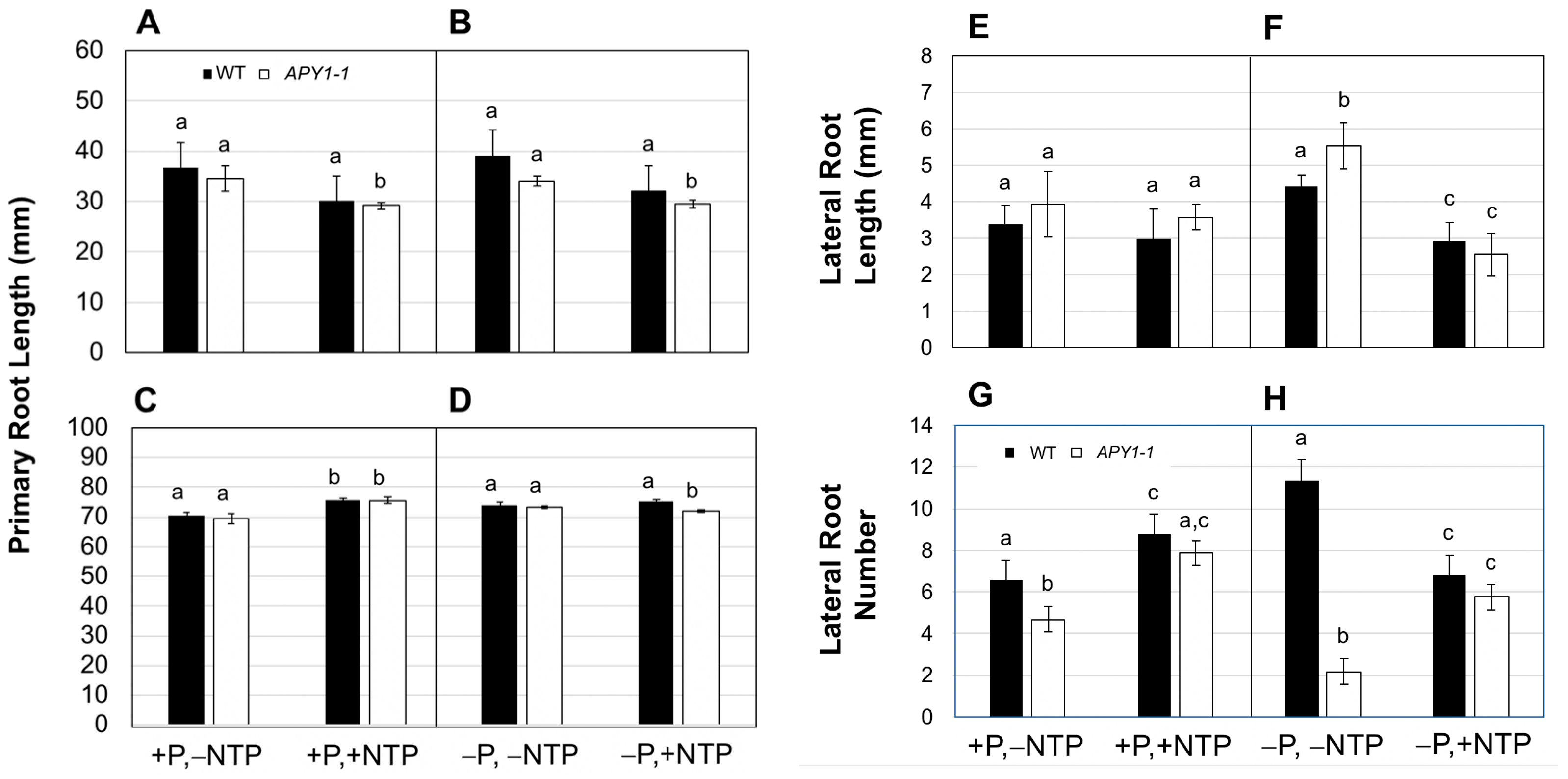 Ijms 26 11857 g001 Ijms 26 11857 g001
