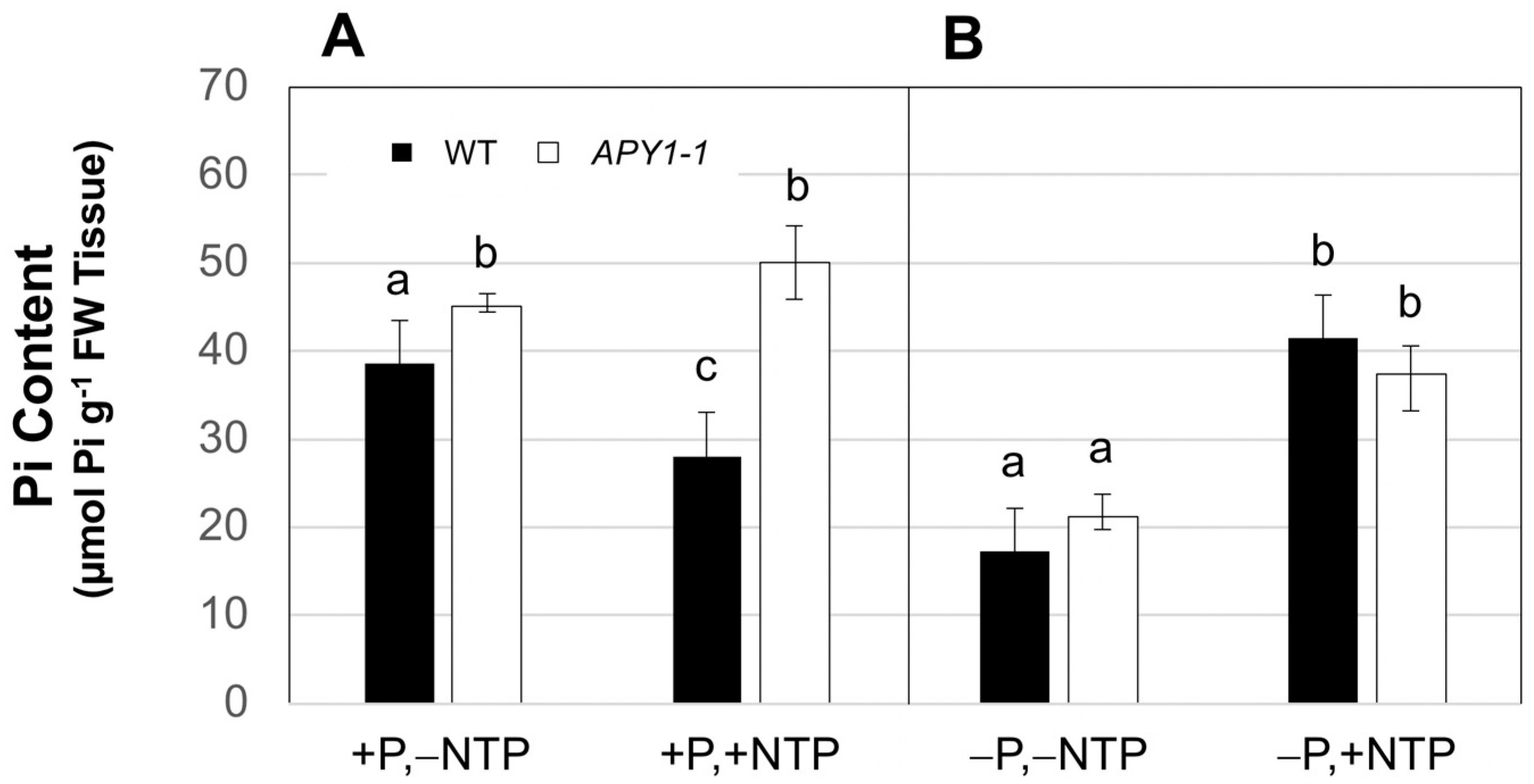 Ijms 26 11857 g003 Ijms 26 11857 g003