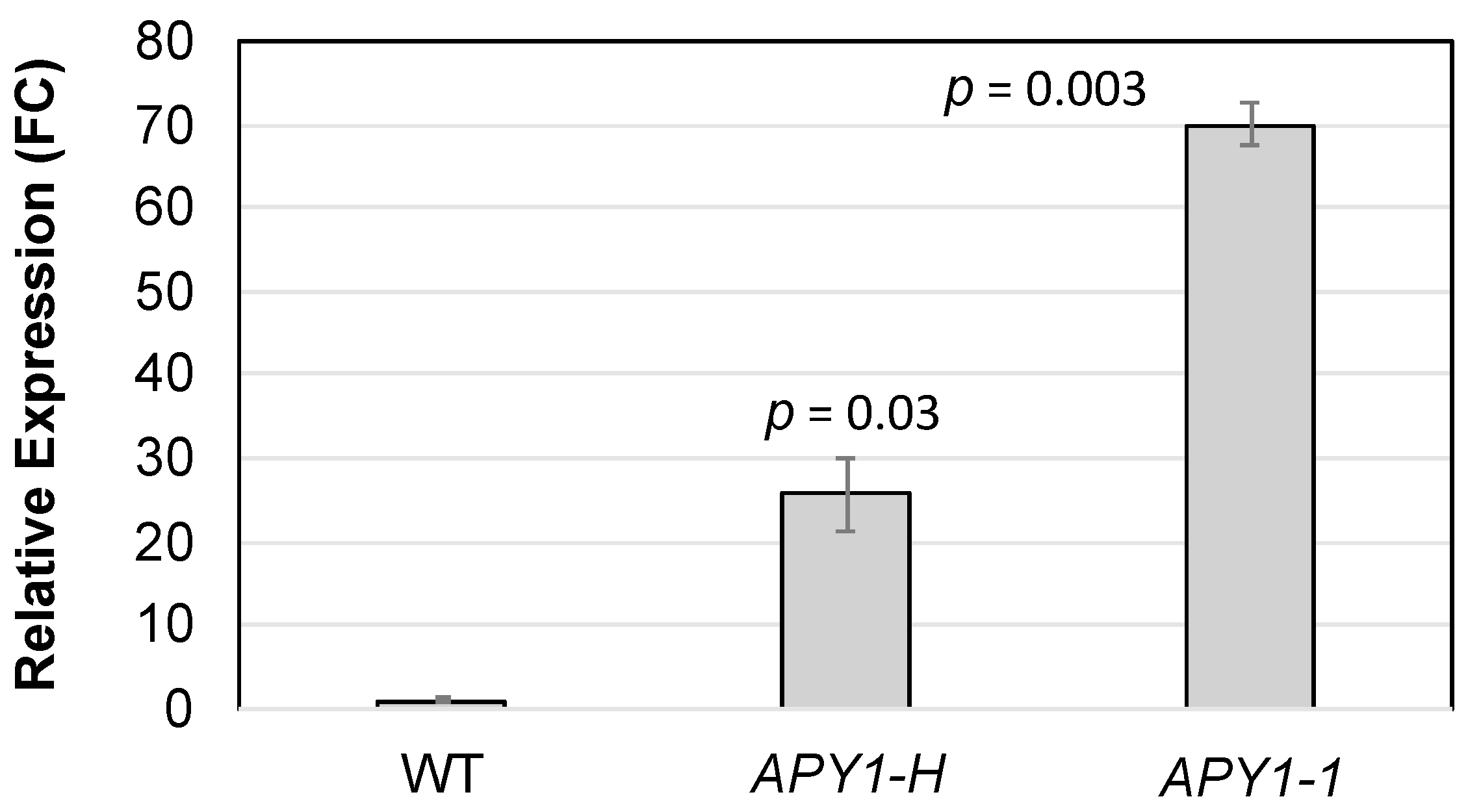 Ijms 26 11857 g004 Ijms 26 11857 g004