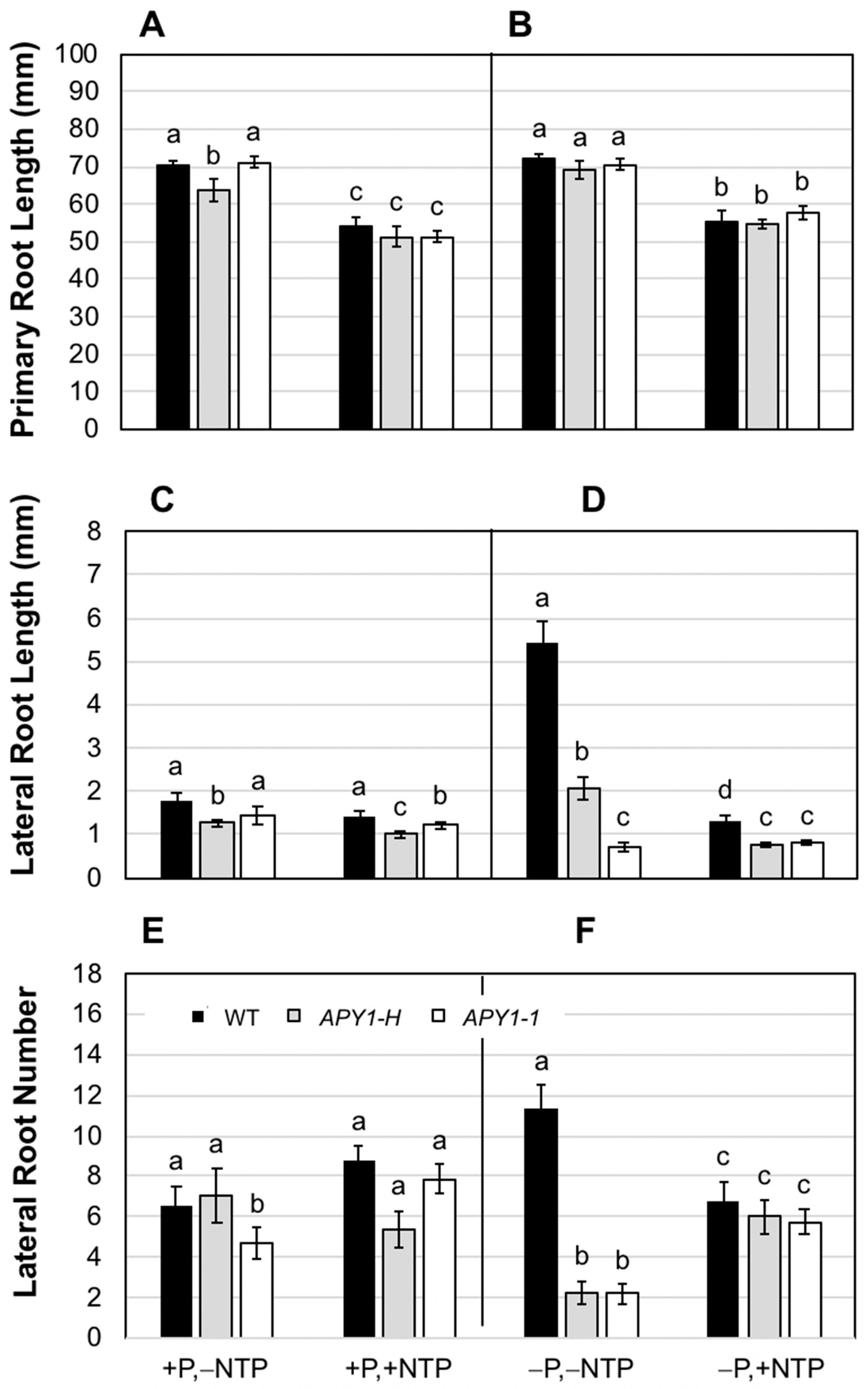 Ijms 26 11857 g005 Ijms 26 11857 g005
