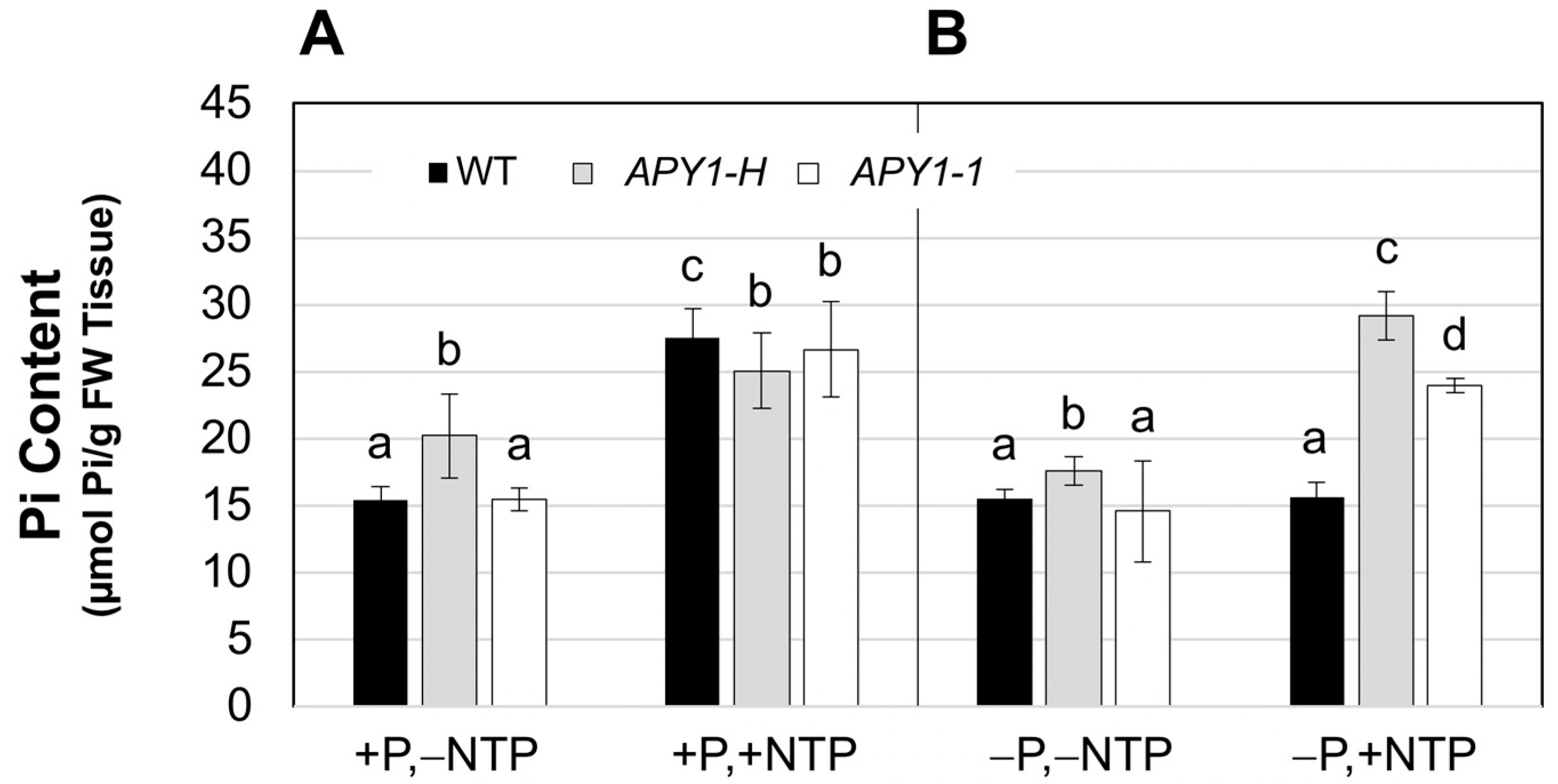 Ijms 26 11857 g006 Ijms 26 11857 g006