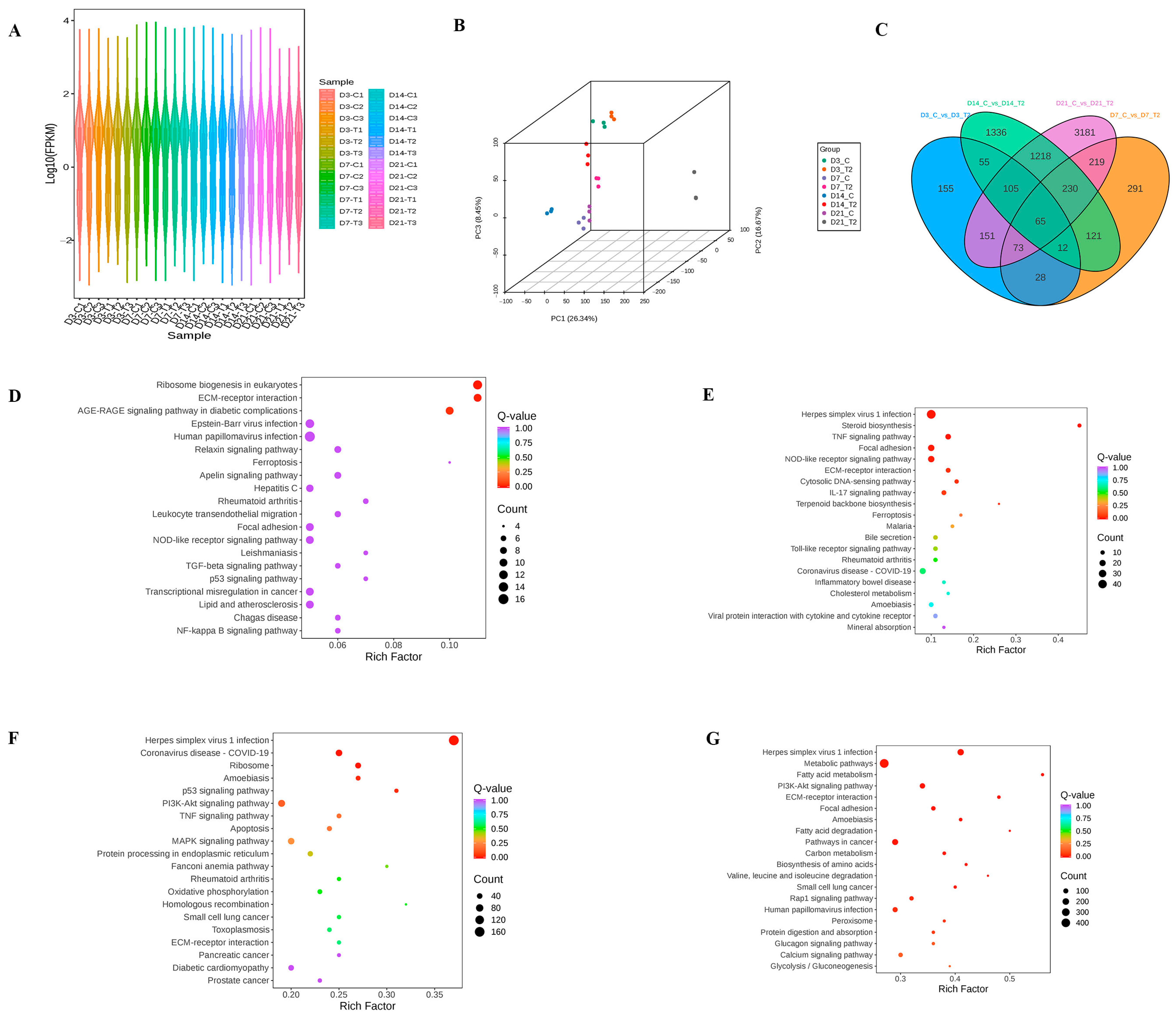 Ijms 26 11858 g001 Ijms 26 11858 g001