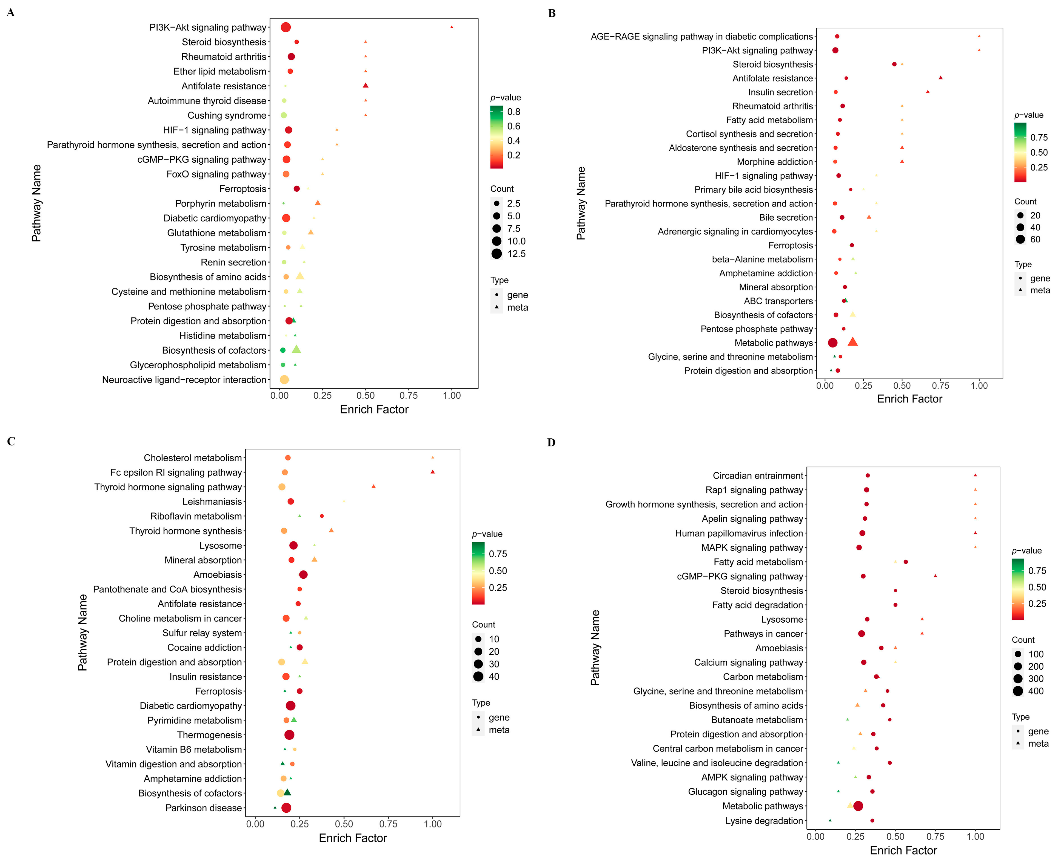 Ijms 26 11858 g003 Ijms 26 11858 g003