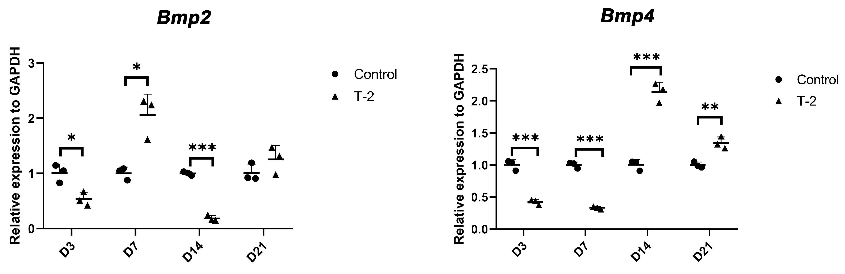 Ijms 26 11858 g004 Ijms 26 11858 g004