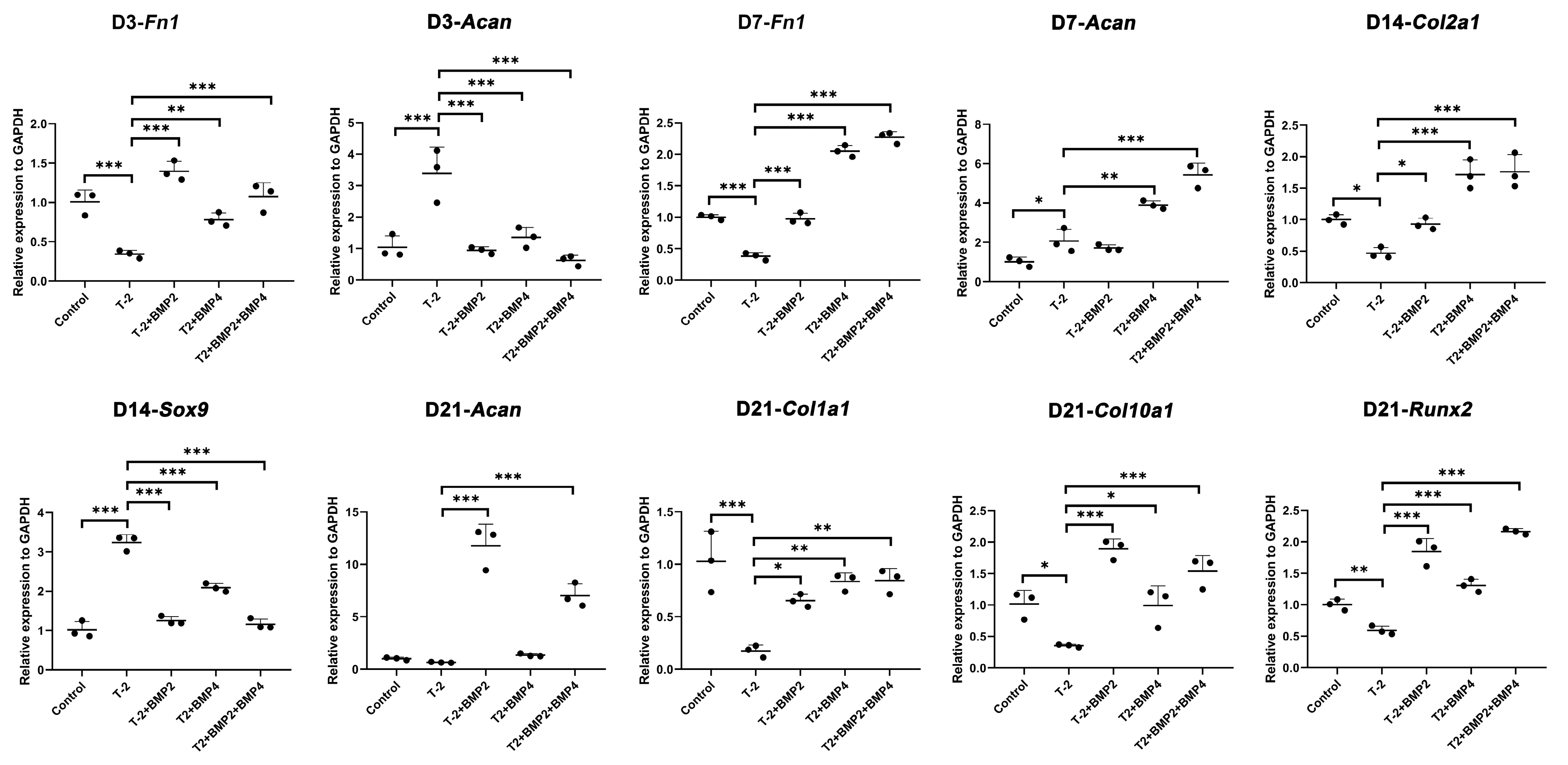 Ijms 26 11858 g005 Ijms 26 11858 g005