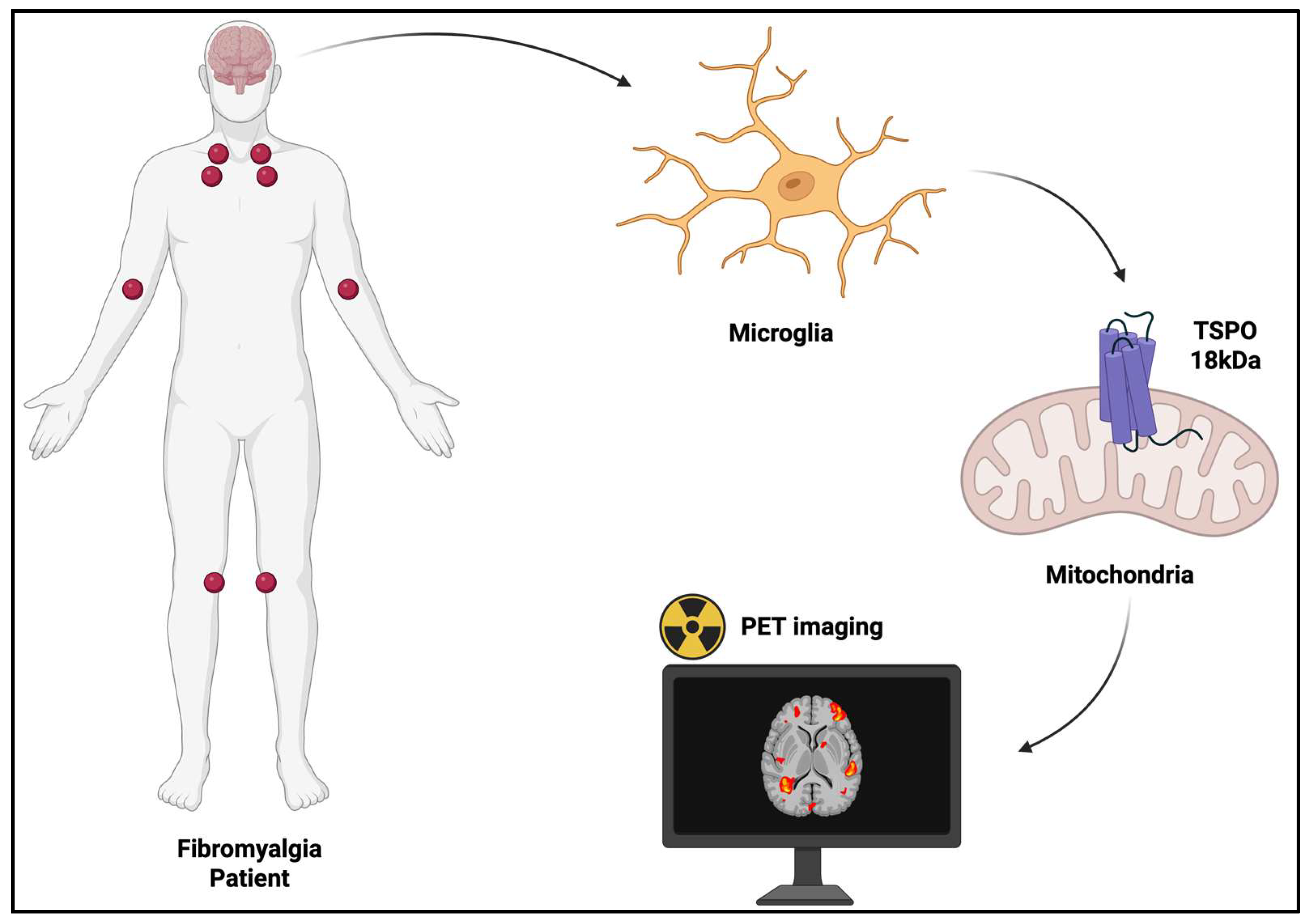 Ijms 26 11861 g001 Ijms 26 11861 g001