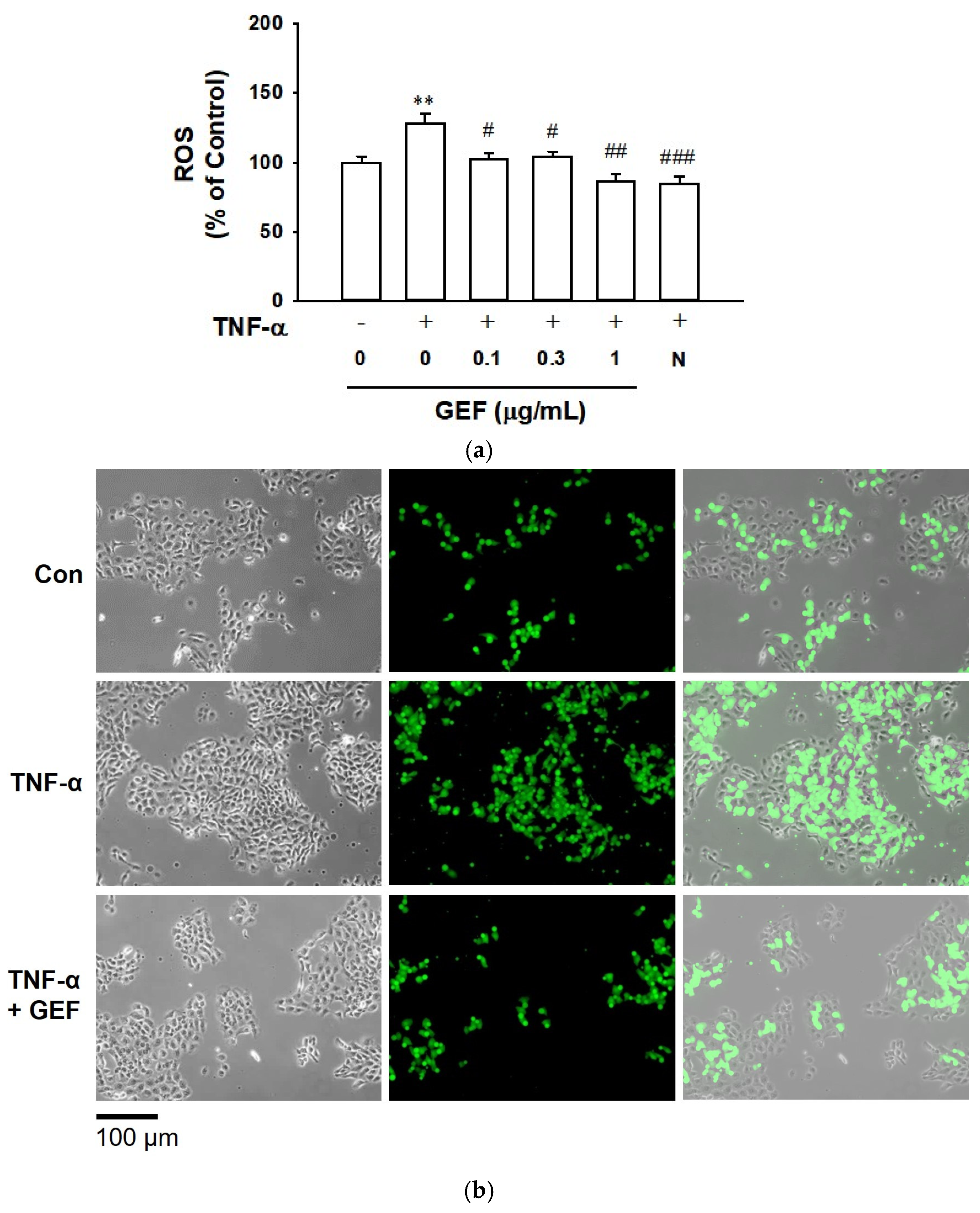 Ijms 26 11864 g002 Ijms 26 11864 g002