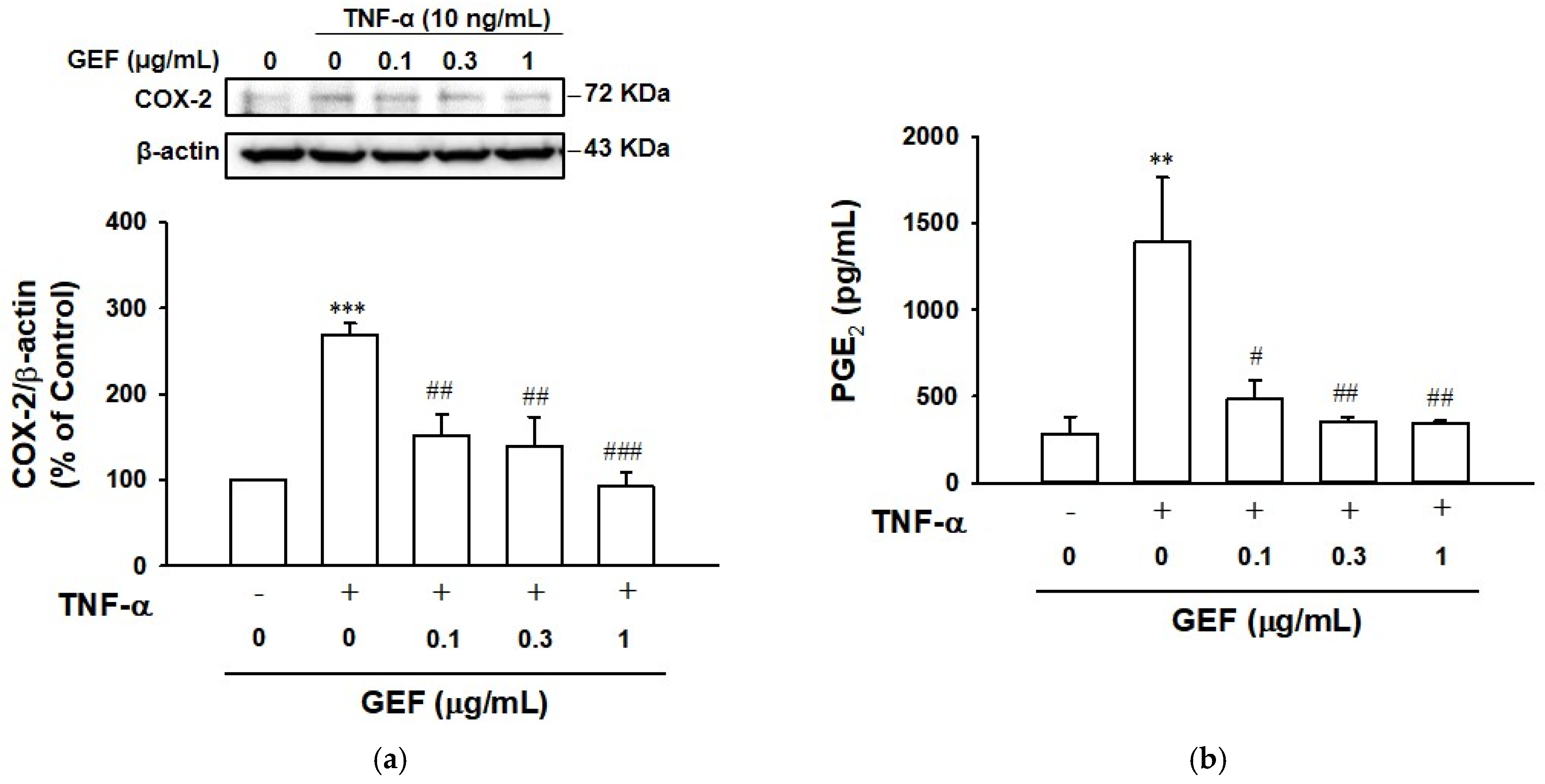 Ijms 26 11864 g005 Ijms 26 11864 g005