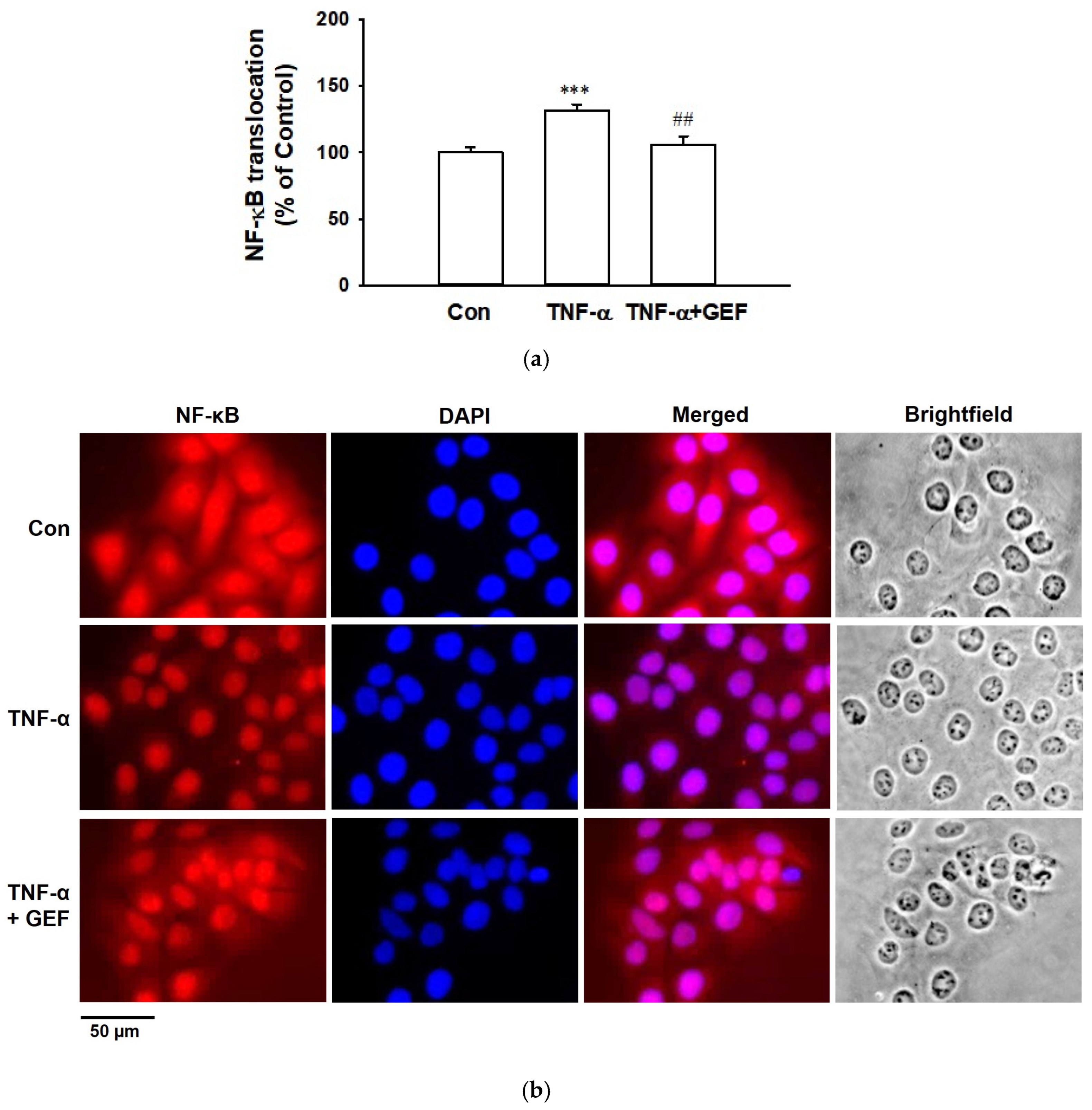 Ijms 26 11864 g006 Ijms 26 11864 g006