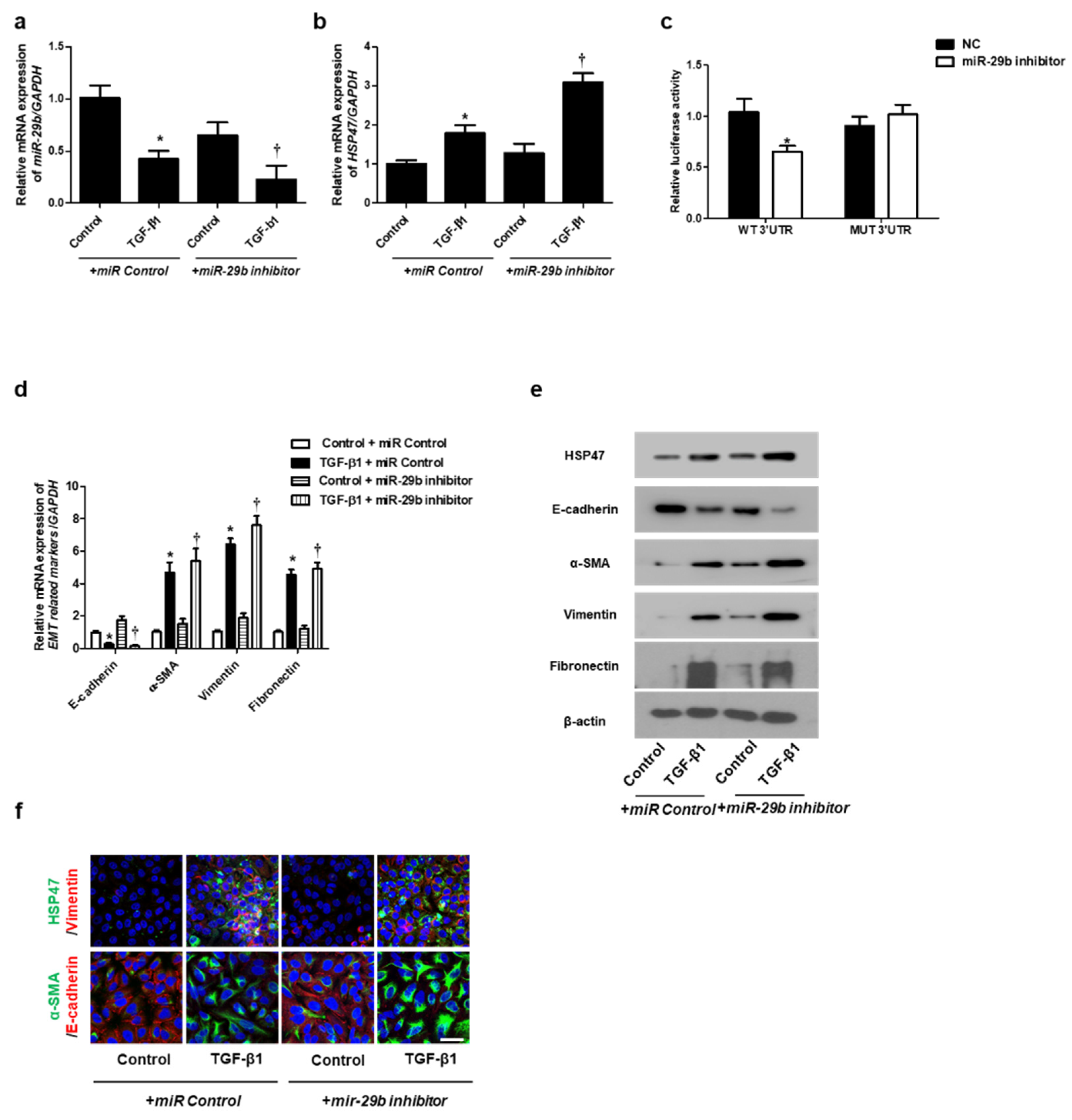 Ijms 26 11865 g003 Ijms 26 11865 g003