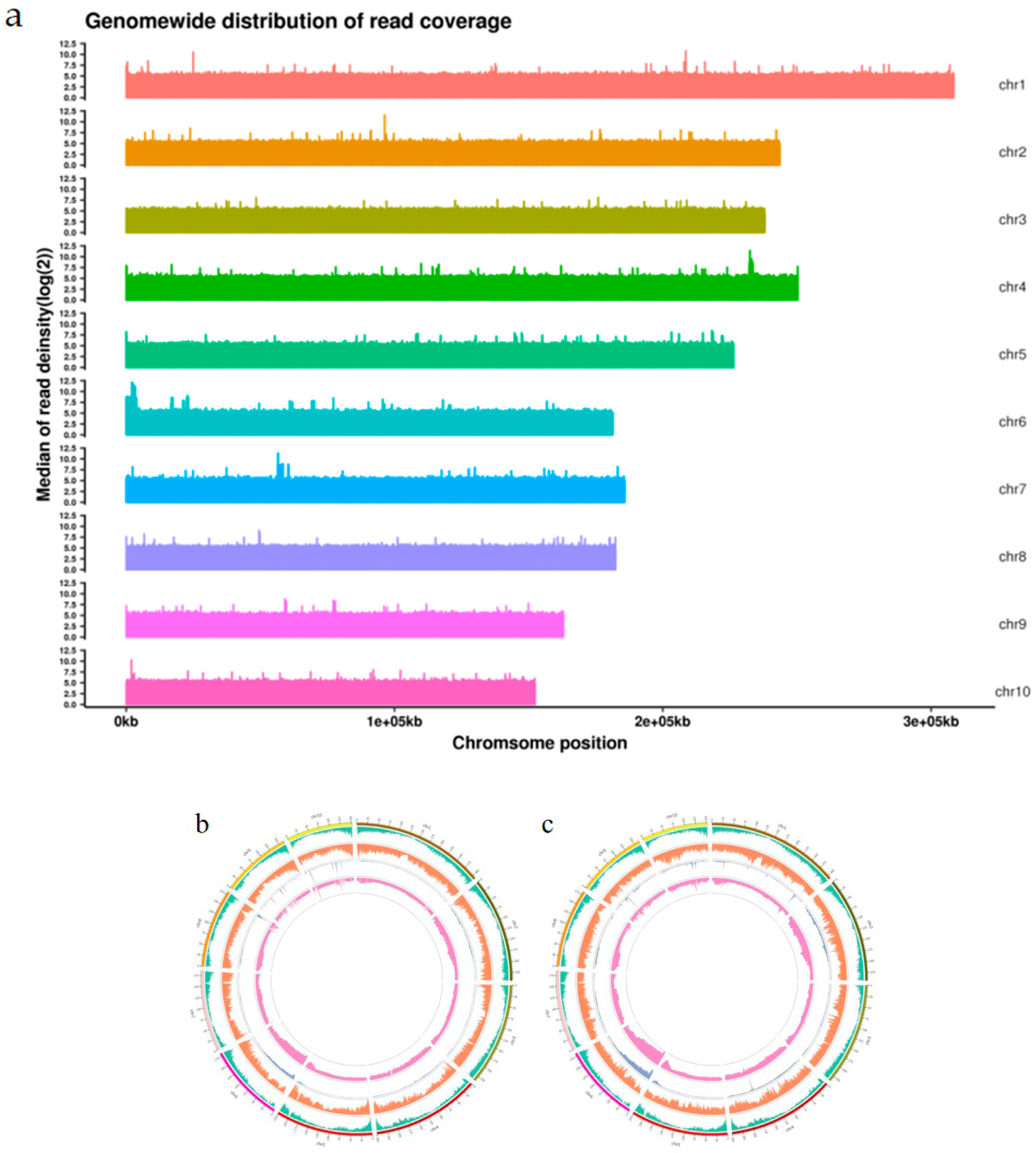 Ijms 26 11866 g002 Ijms 26 11866 g002