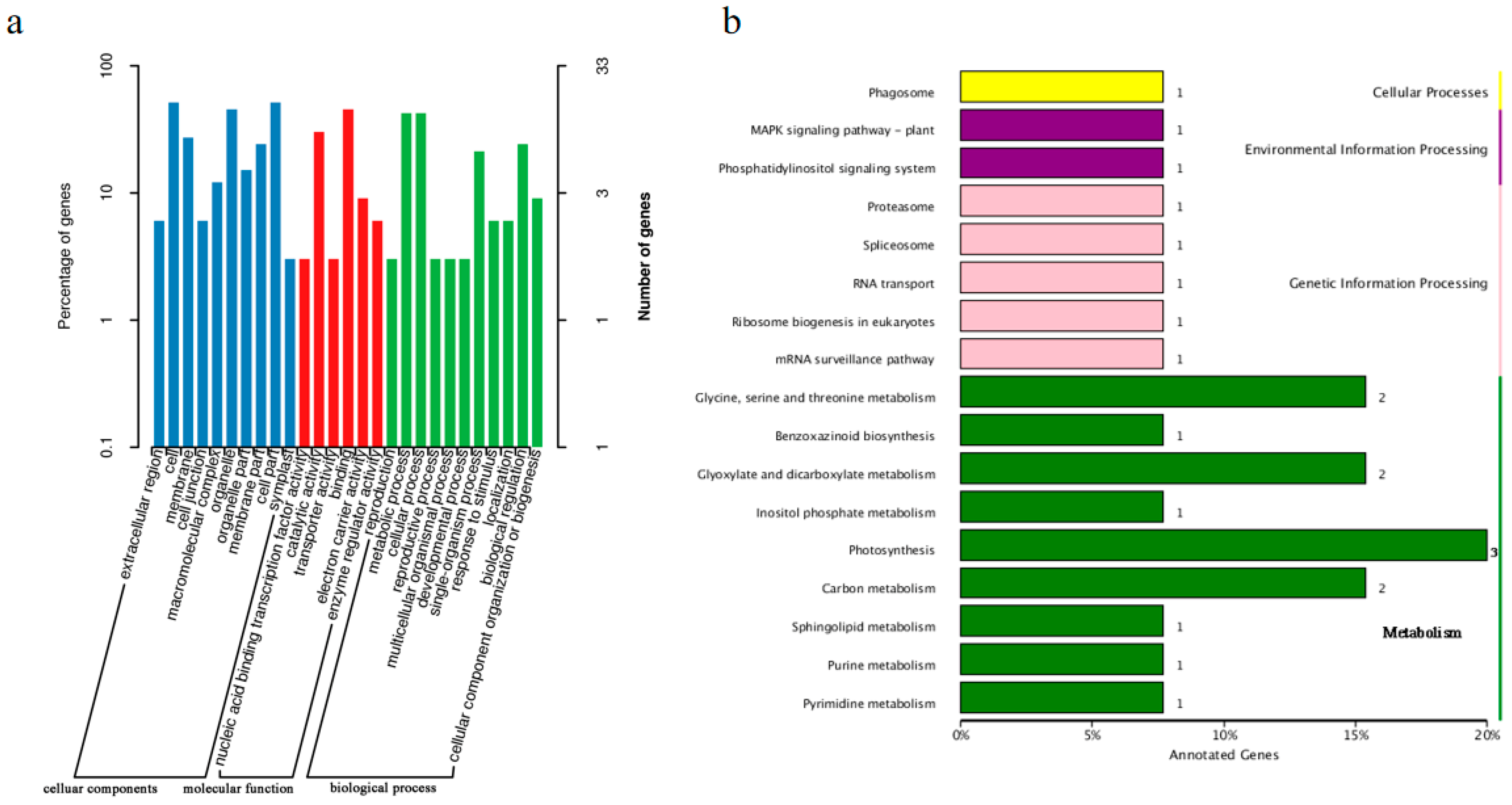 Ijms 26 11866 g005 Ijms 26 11866 g005