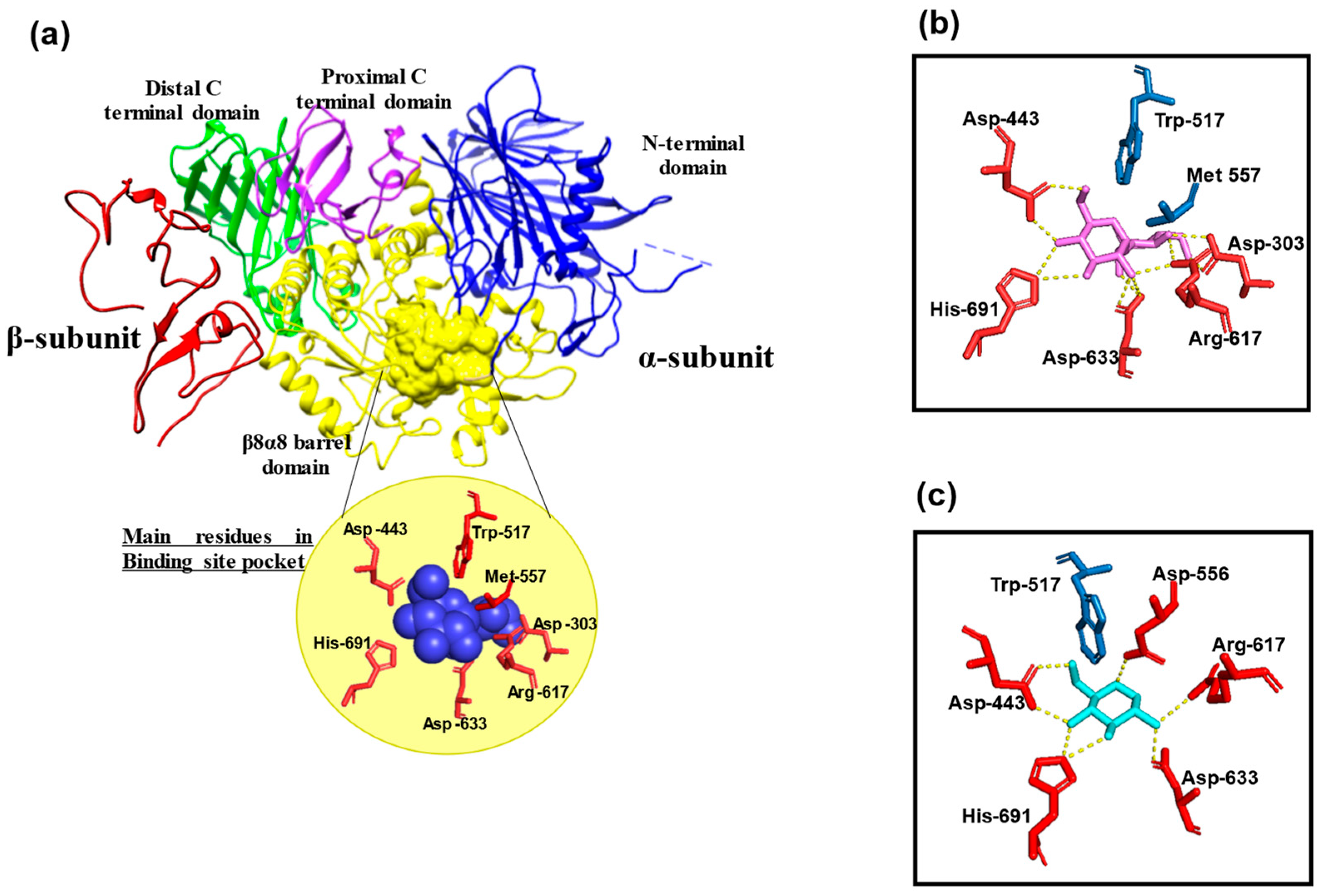 Ijms 26 11867 g001 Ijms 26 11867 g001