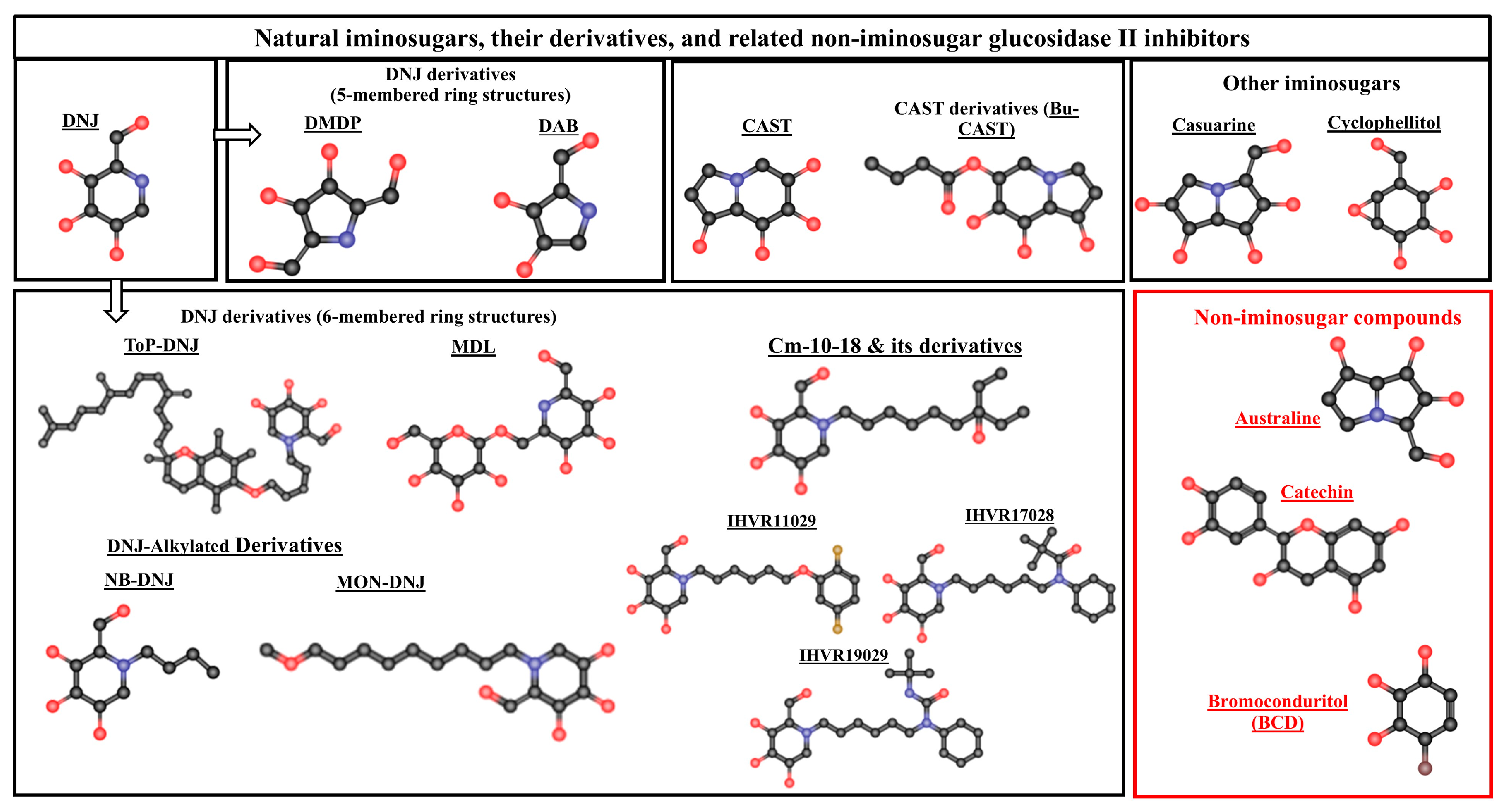 Ijms 26 11867 g003 Ijms 26 11867 g003