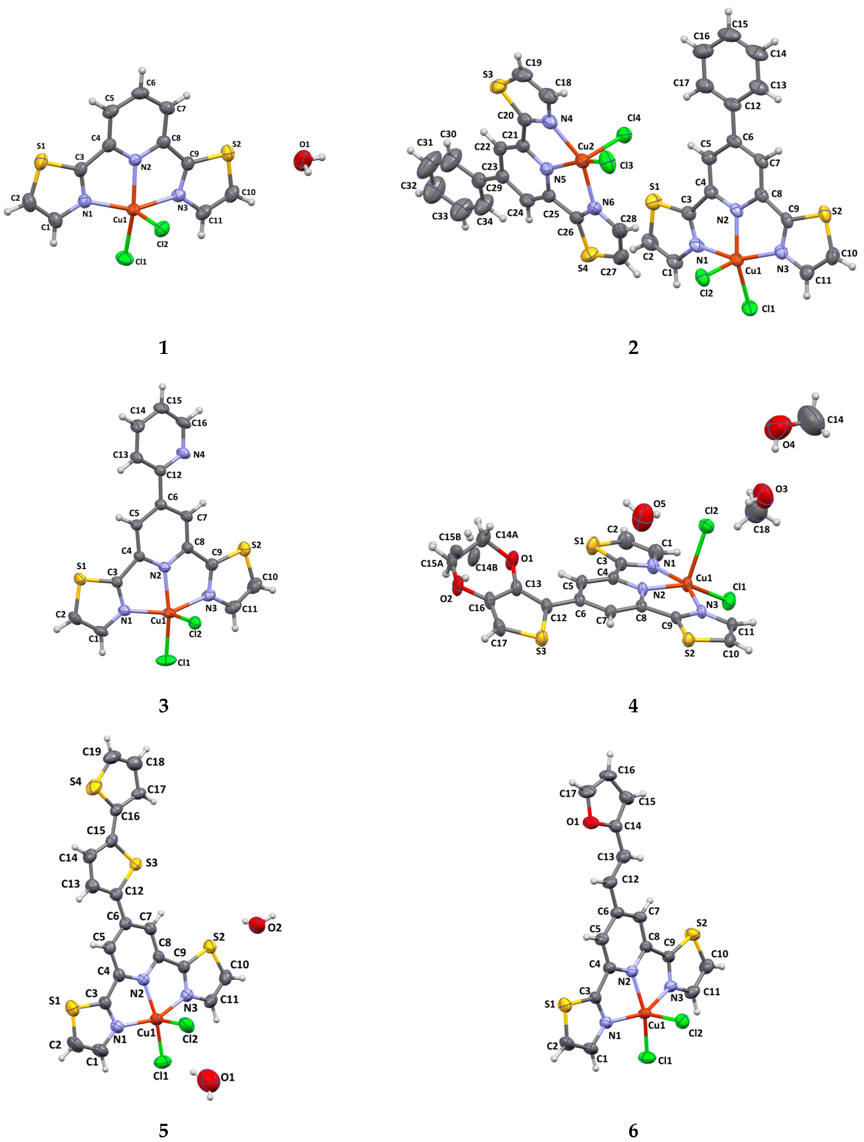 Ijms 26 11868 g001 Ijms 26 11868 g001