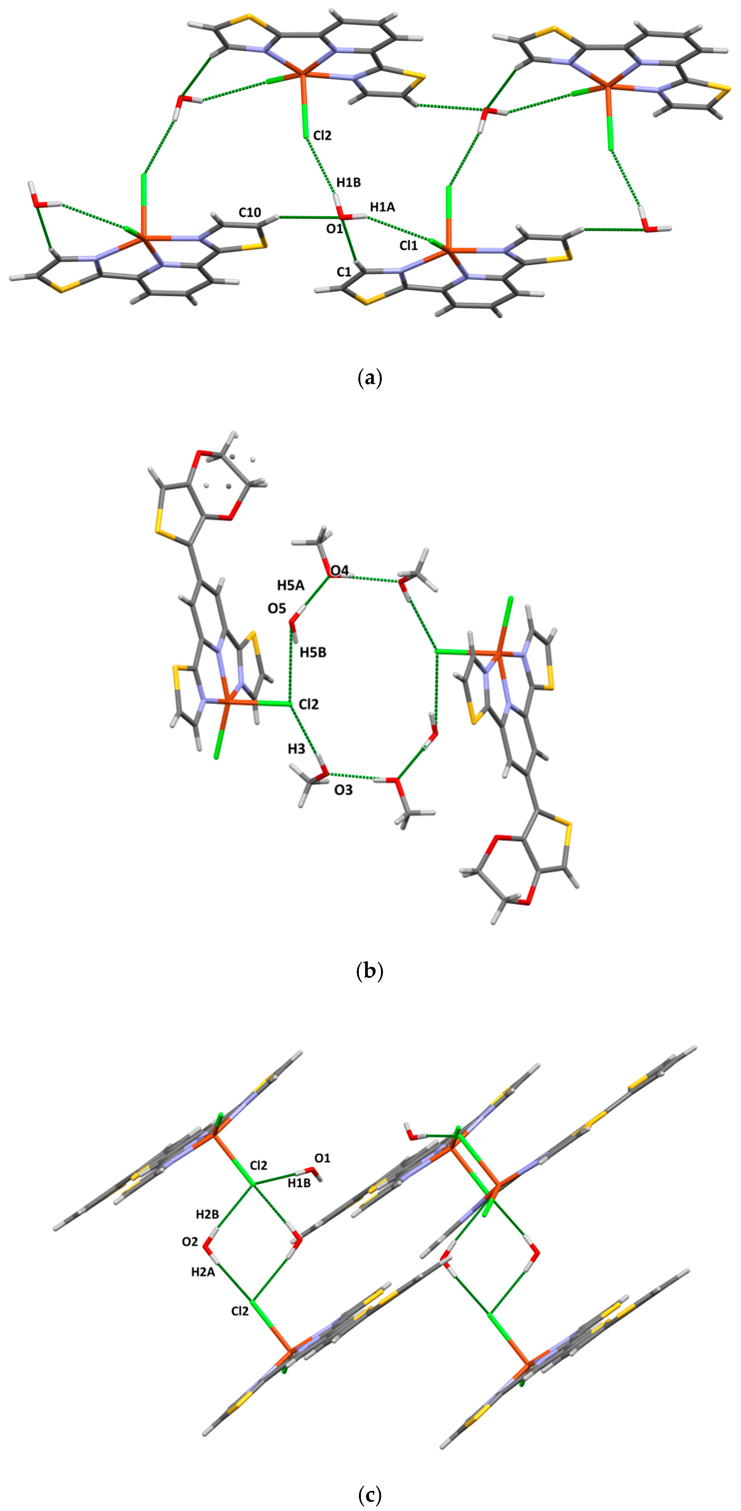 Ijms 26 11868 g003 Ijms 26 11868 g003