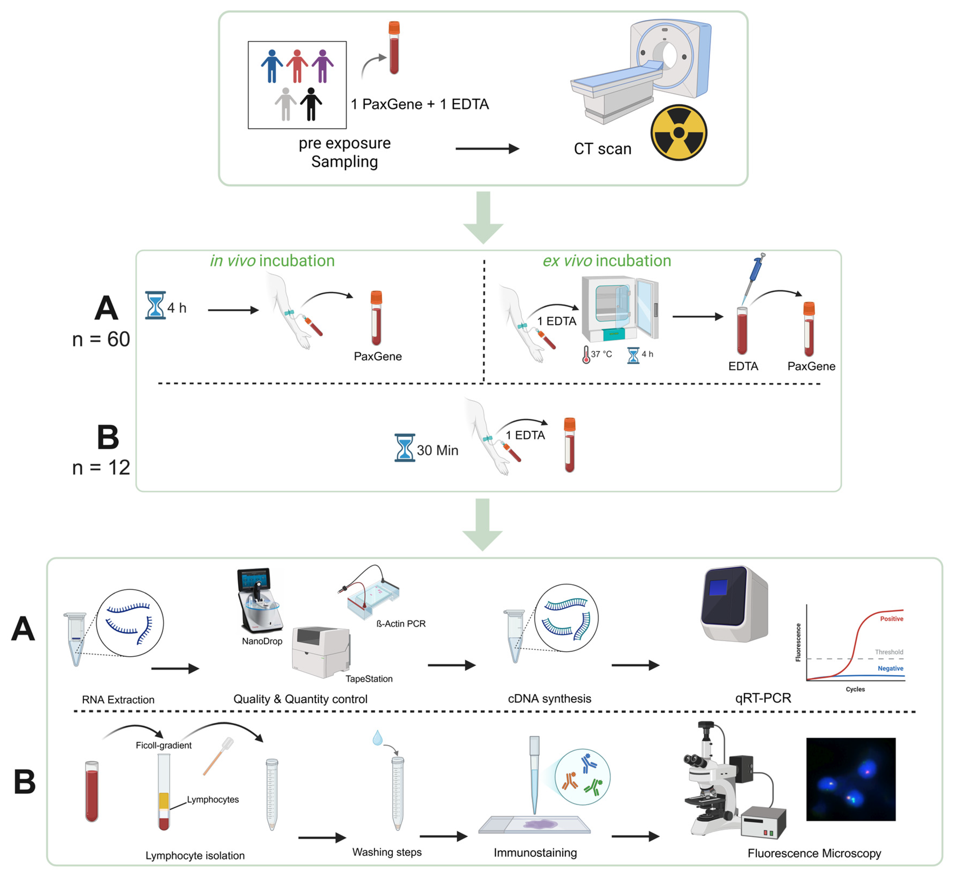 Ijms 26 11869 g006 Ijms 26 11869 g006