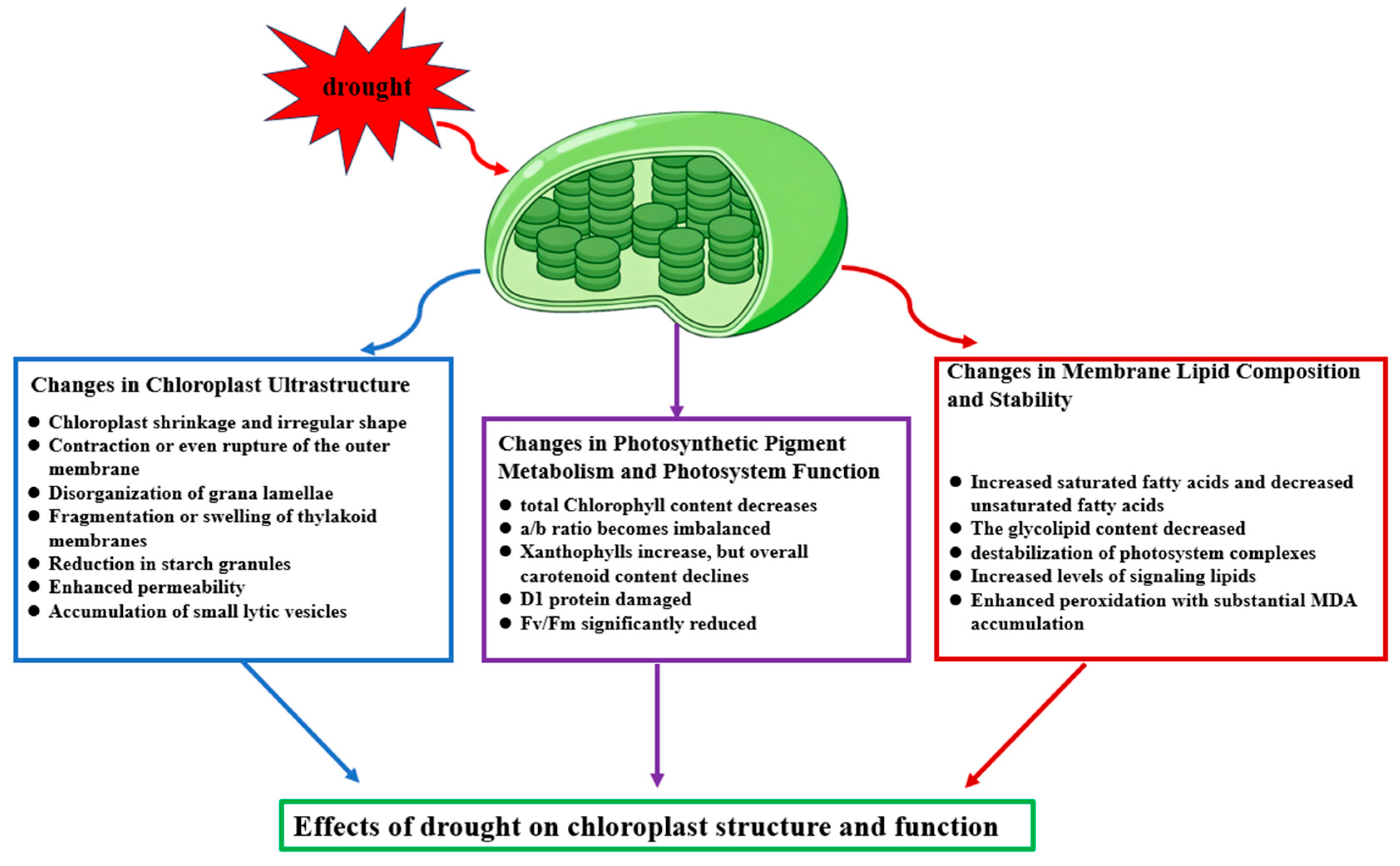 Ijms 26 11872 g001 Ijms 26 11872 g001