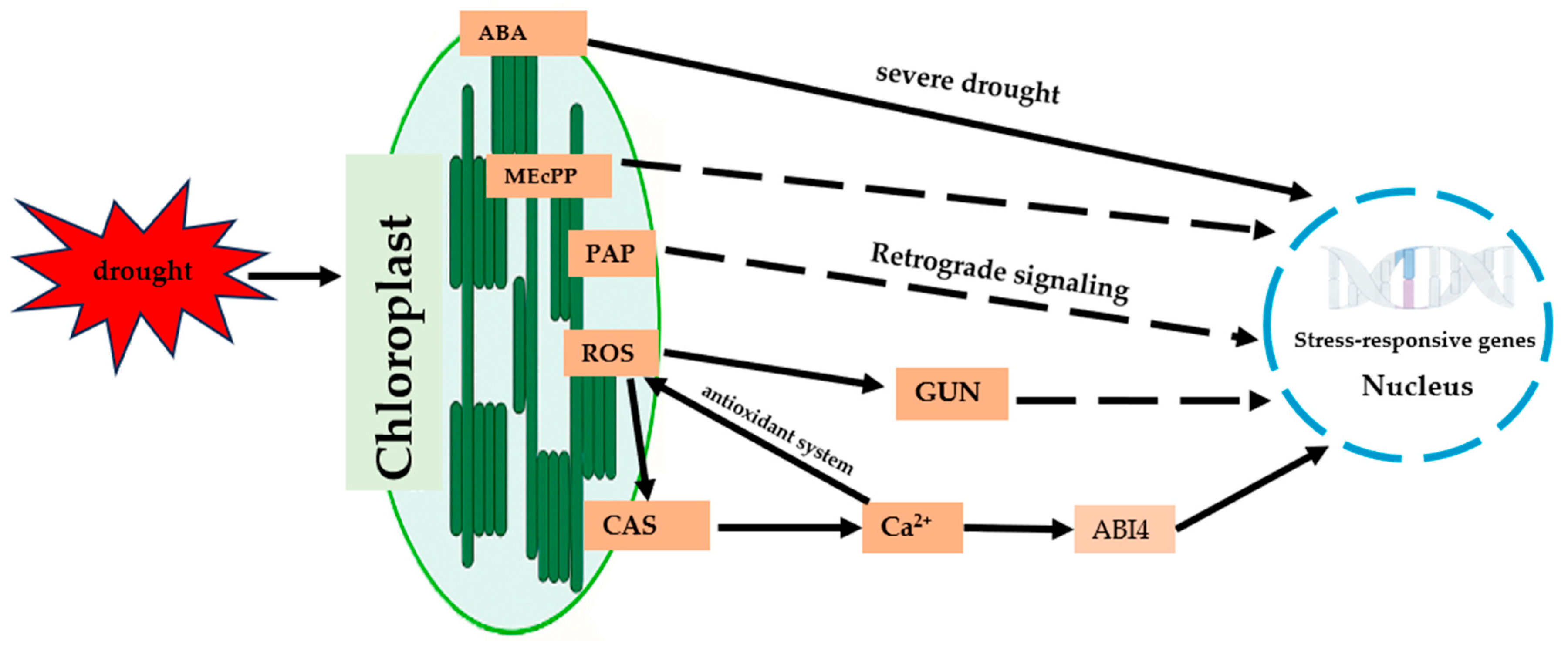 Ijms 26 11872 g002 Ijms 26 11872 g002