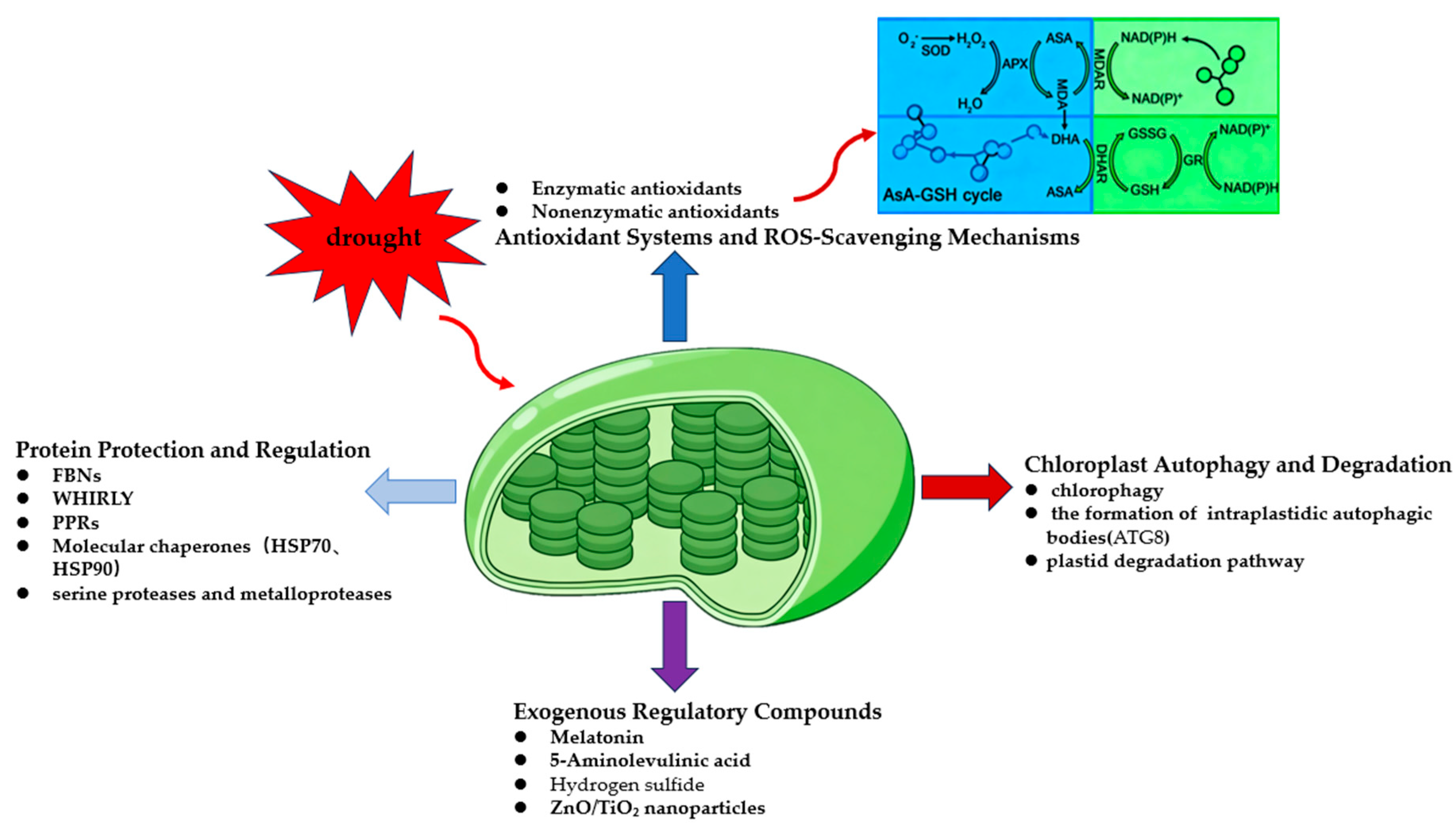 Ijms 26 11872 g003 Ijms 26 11872 g003