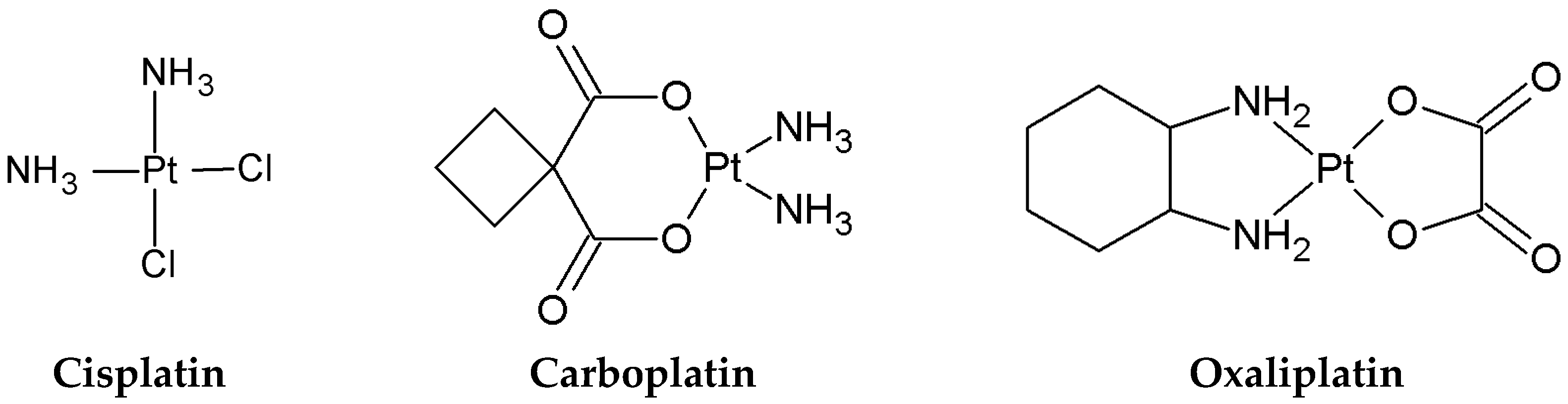 Ijms 26 11875 g001 Ijms 26 11875 g001