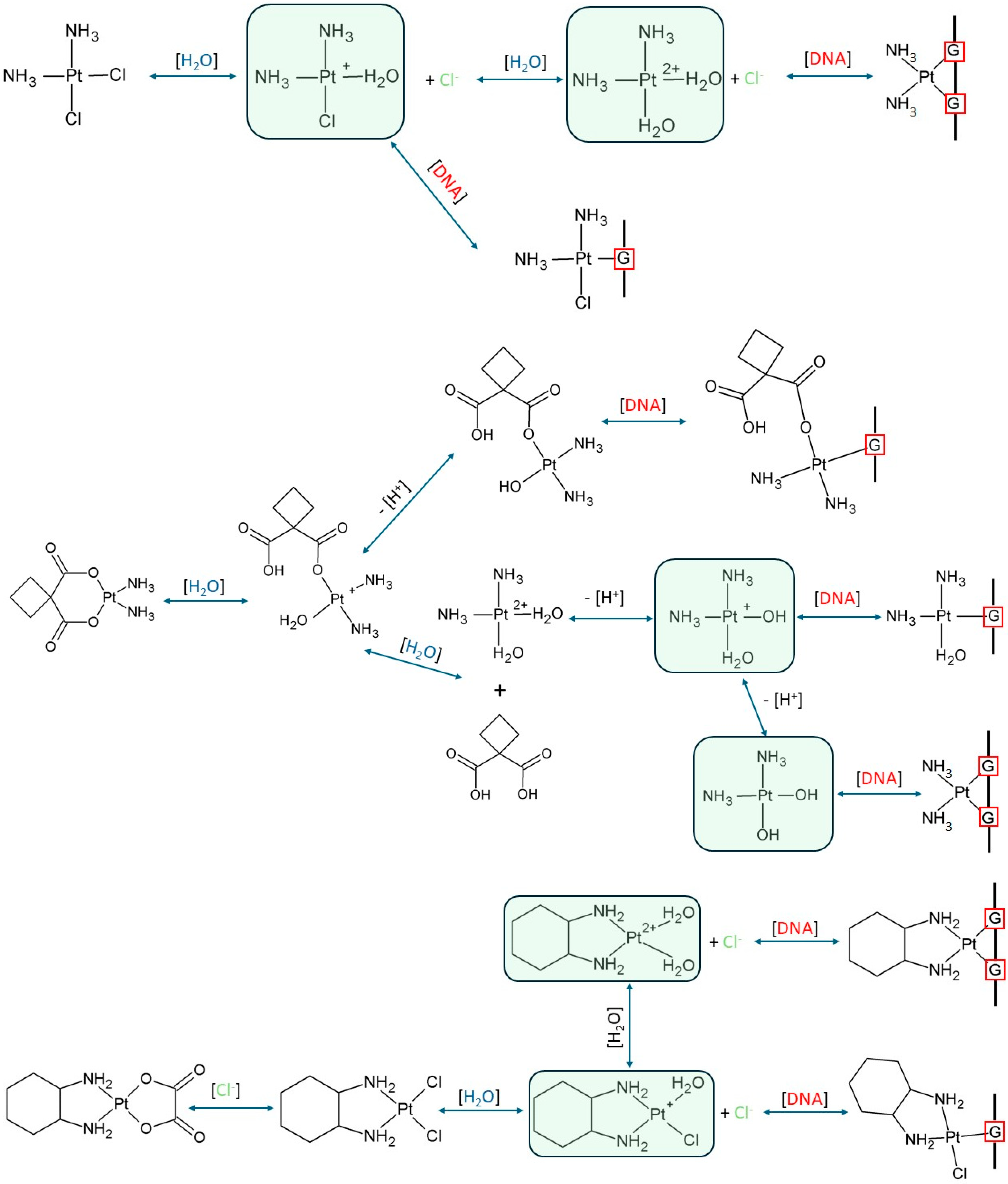 Ijms 26 11875 g002 Ijms 26 11875 g002