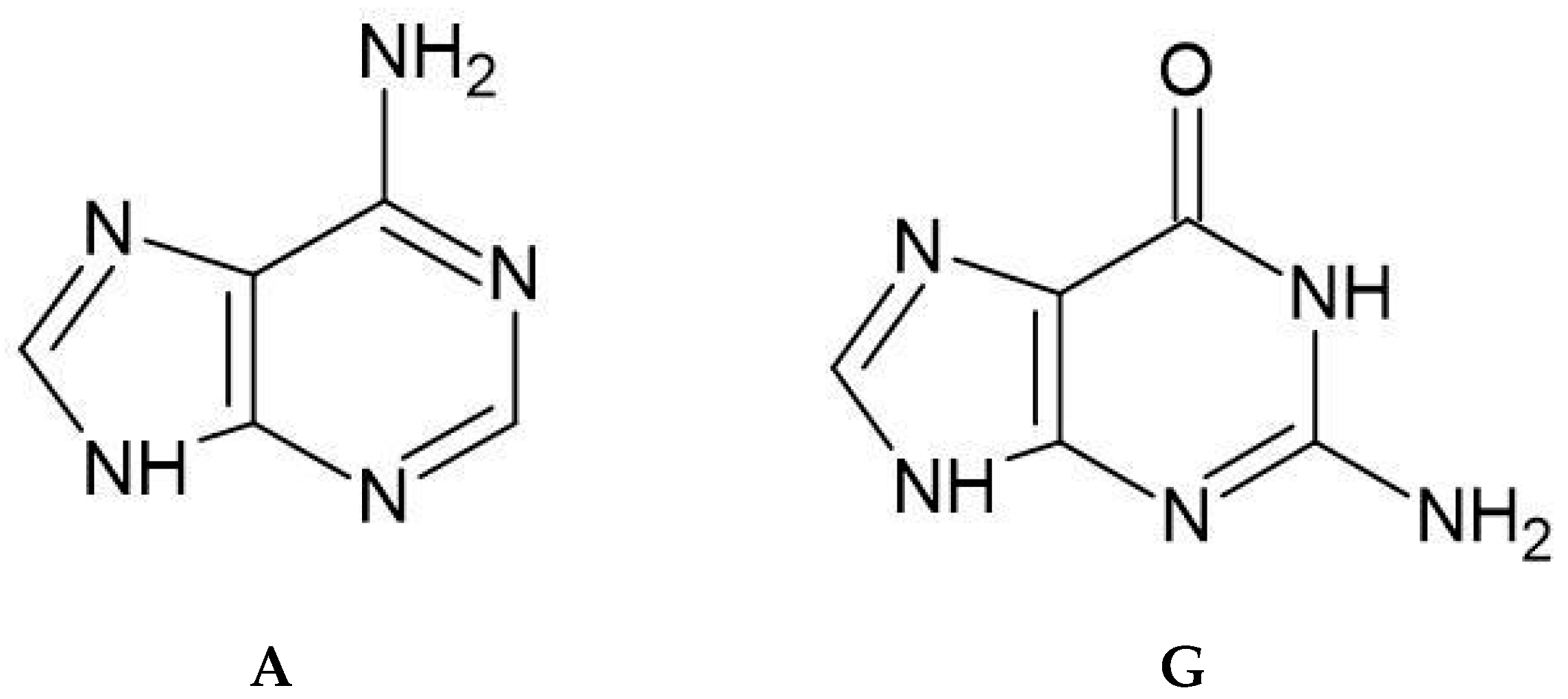 Ijms 26 11875 g003 Ijms 26 11875 g003