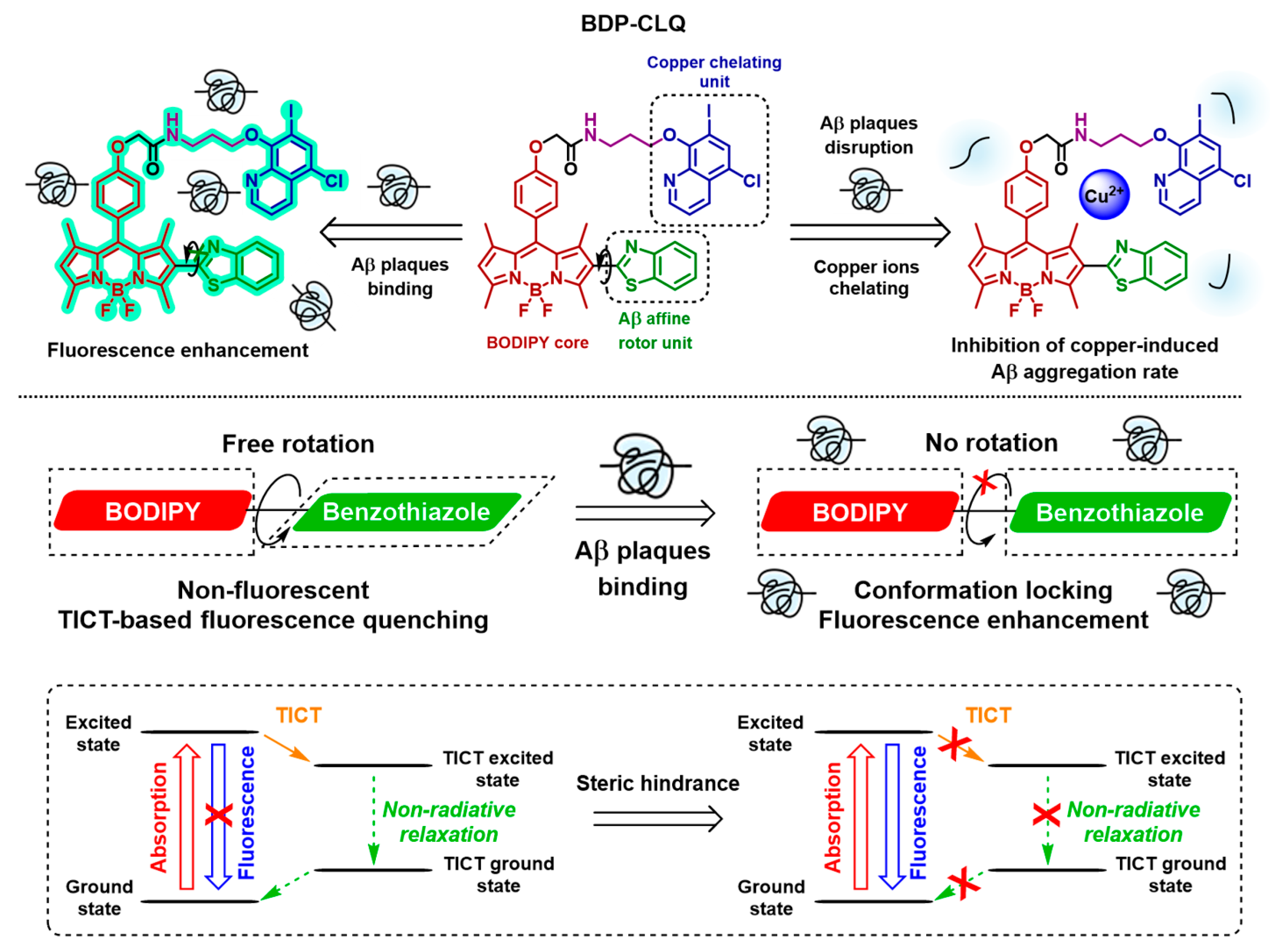 Ijms 26 11876 g001 Ijms 26 11876 g001