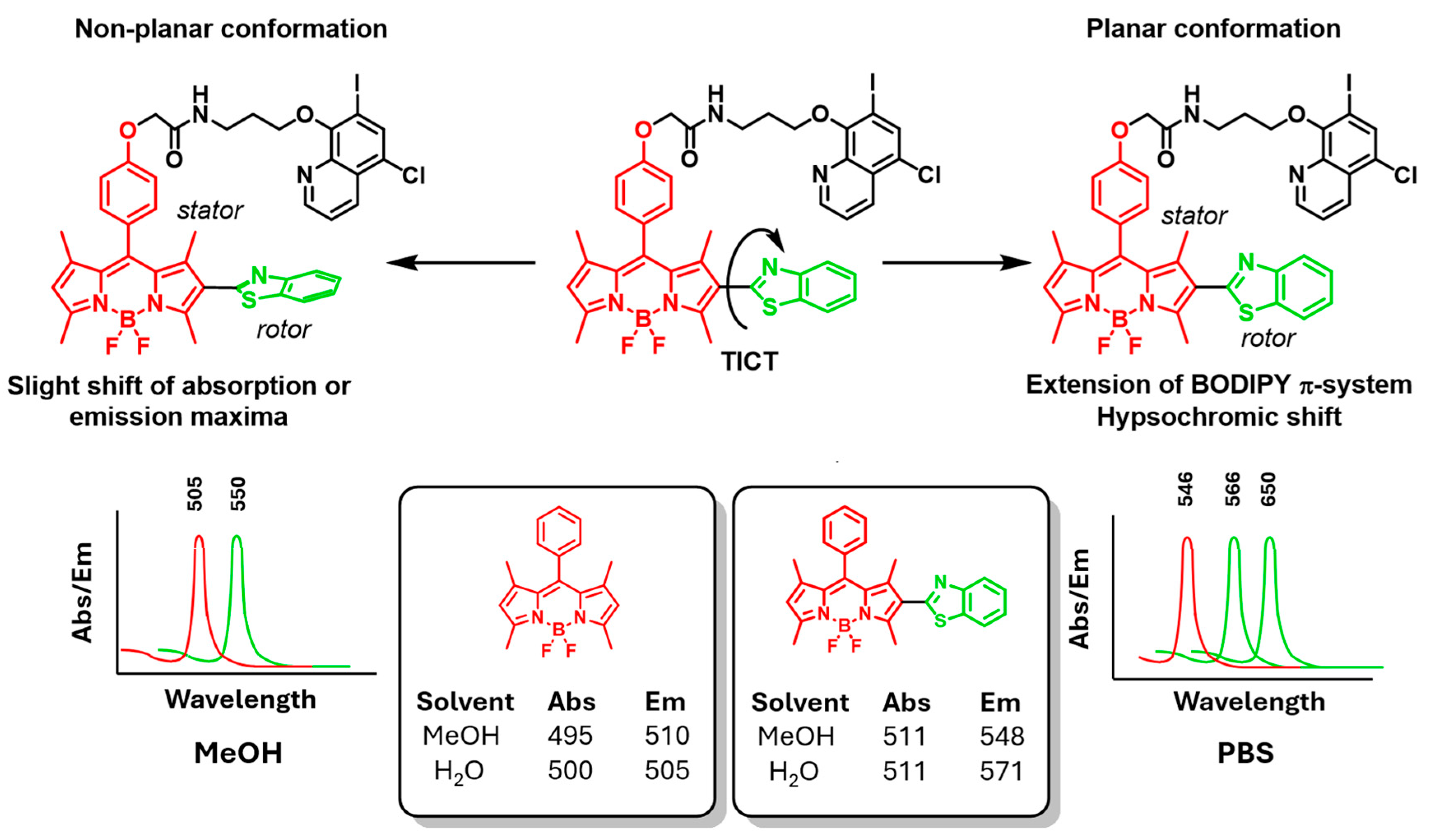 Ijms 26 11876 g002 Ijms 26 11876 g002