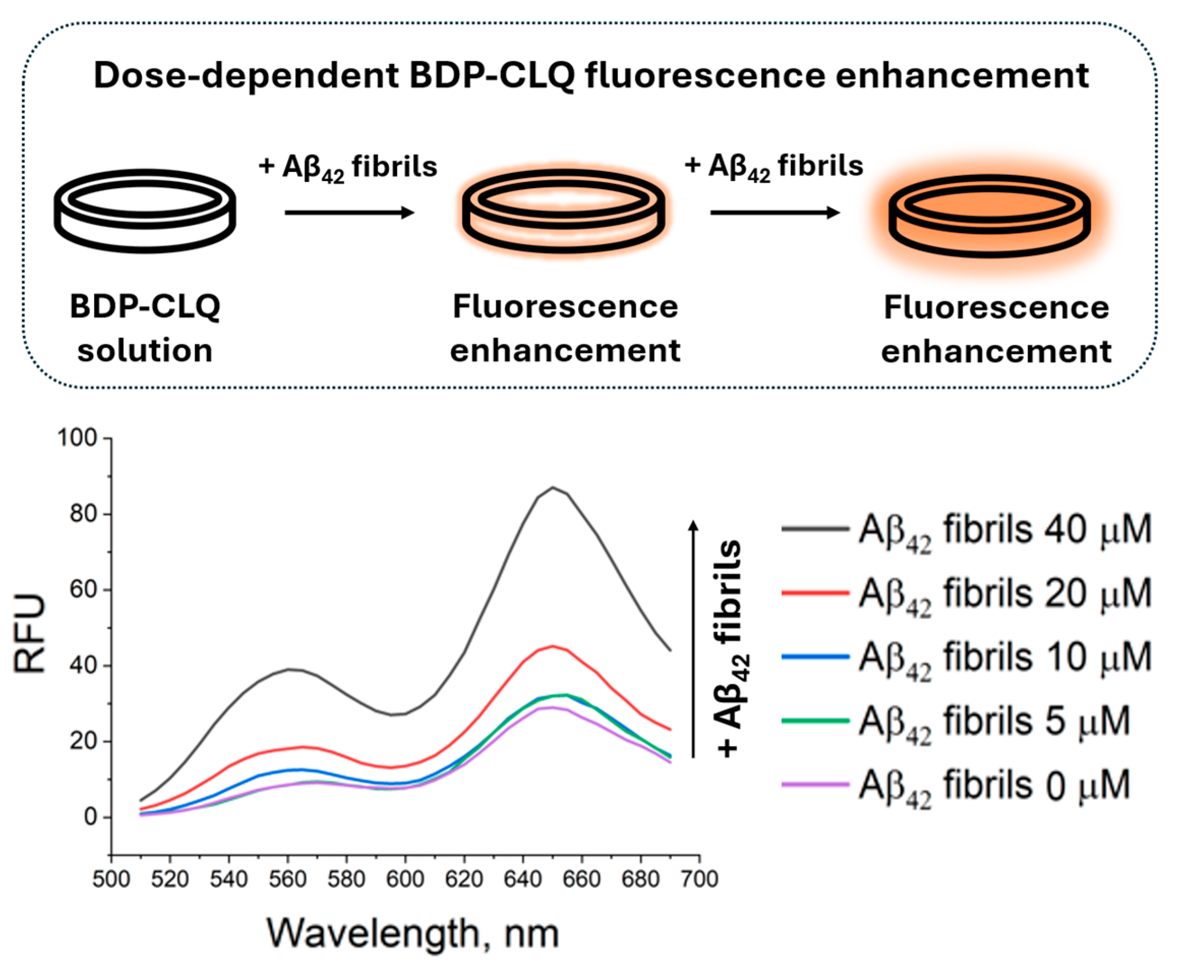 Ijms 26 11876 g005 Ijms 26 11876 g005