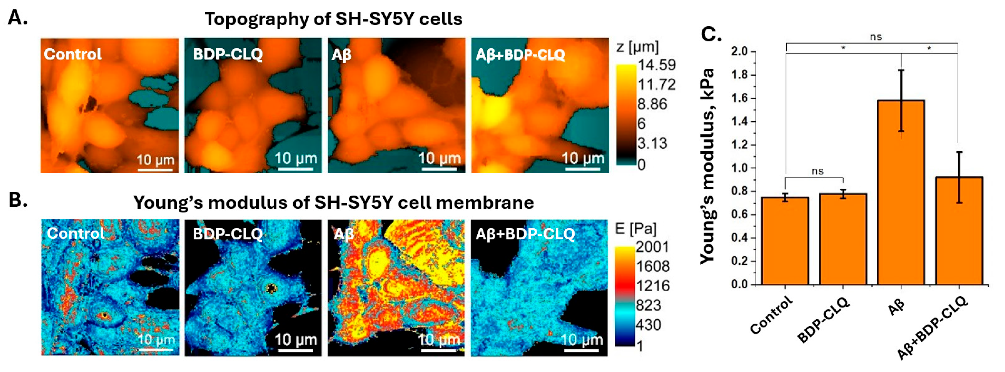 Ijms 26 11876 g007 Ijms 26 11876 g007