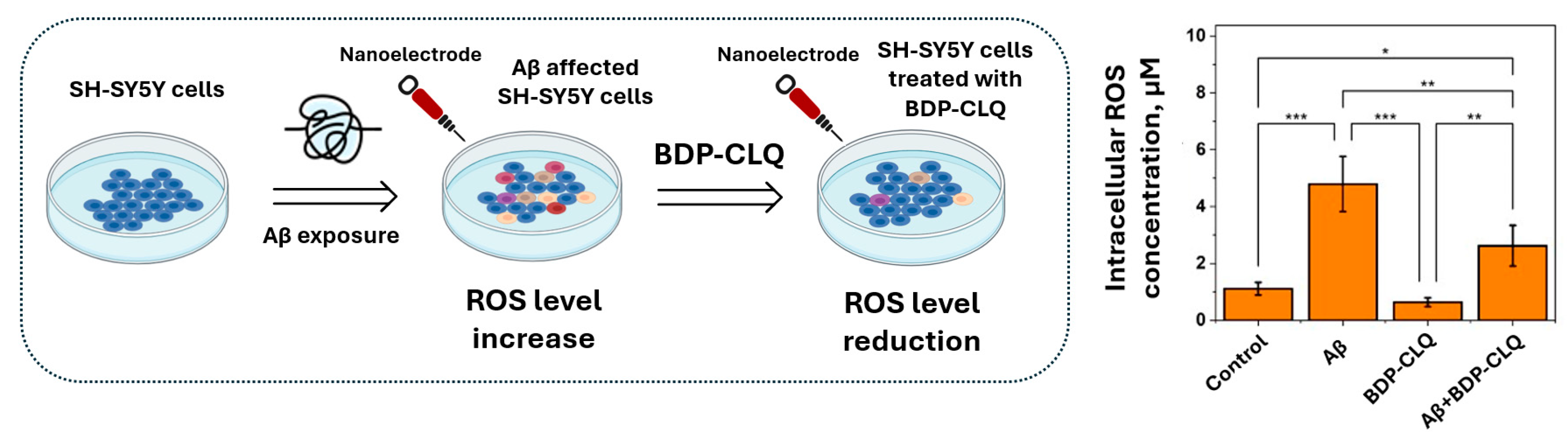 Ijms 26 11876 g008 Ijms 26 11876 g008