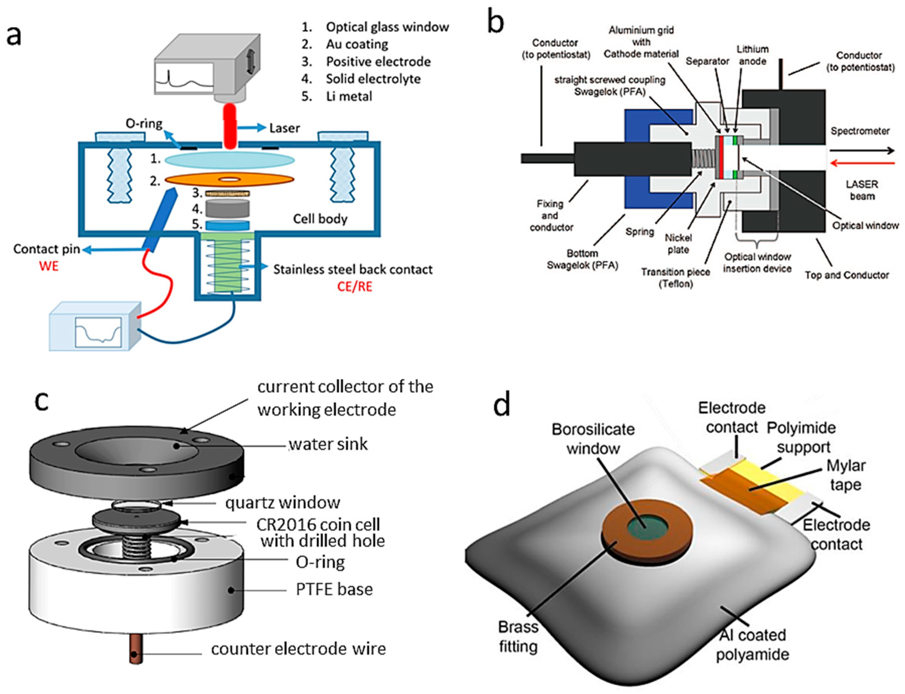 Ijms 26 11879 g002 Ijms 26 11879 g002