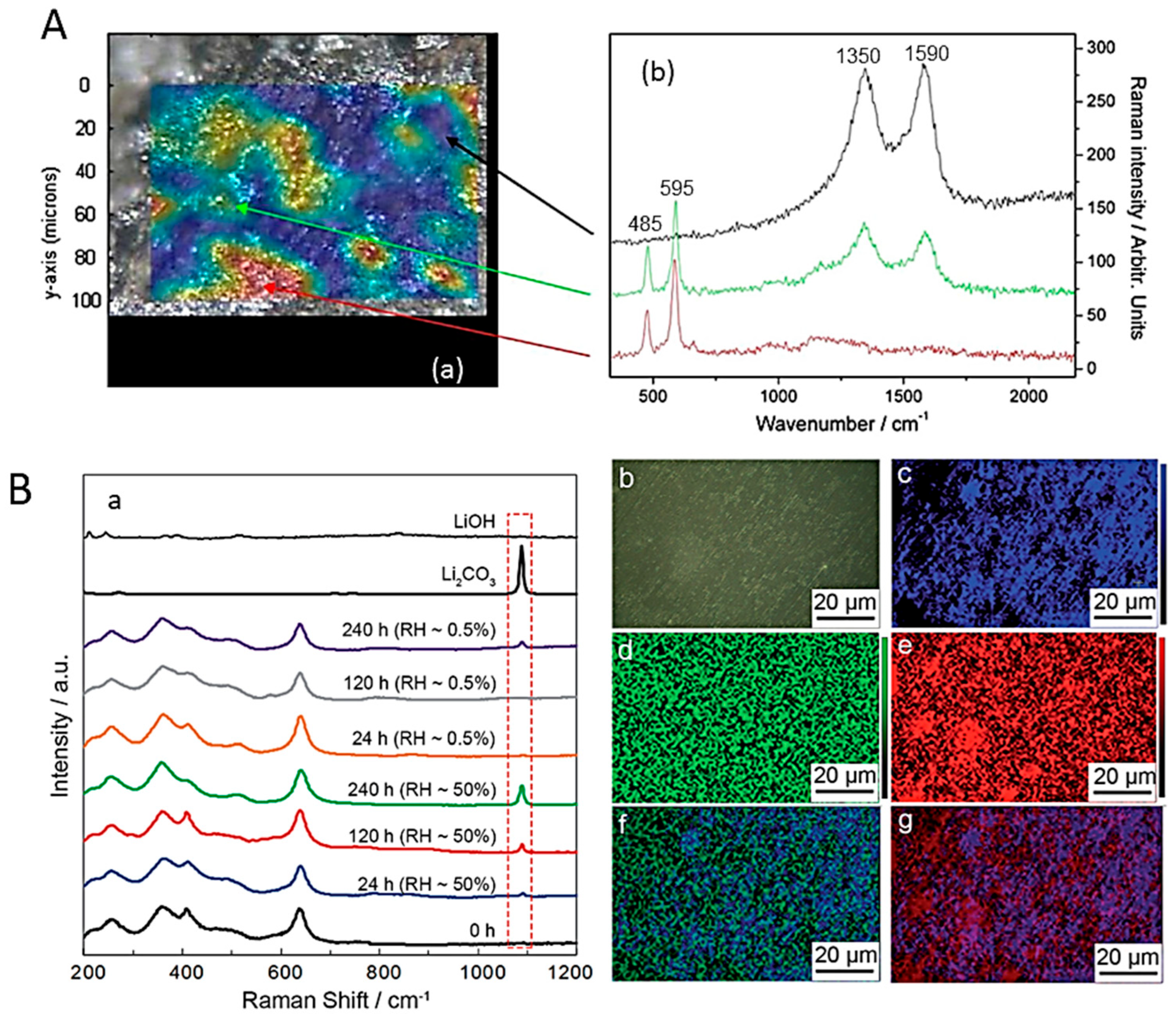 Ijms 26 11879 g003 Ijms 26 11879 g003