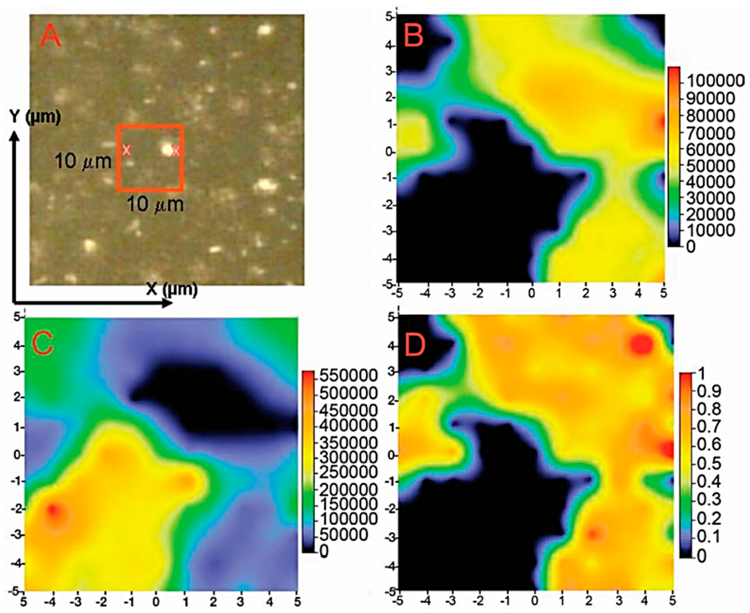 Ijms 26 11879 g004 Ijms 26 11879 g004