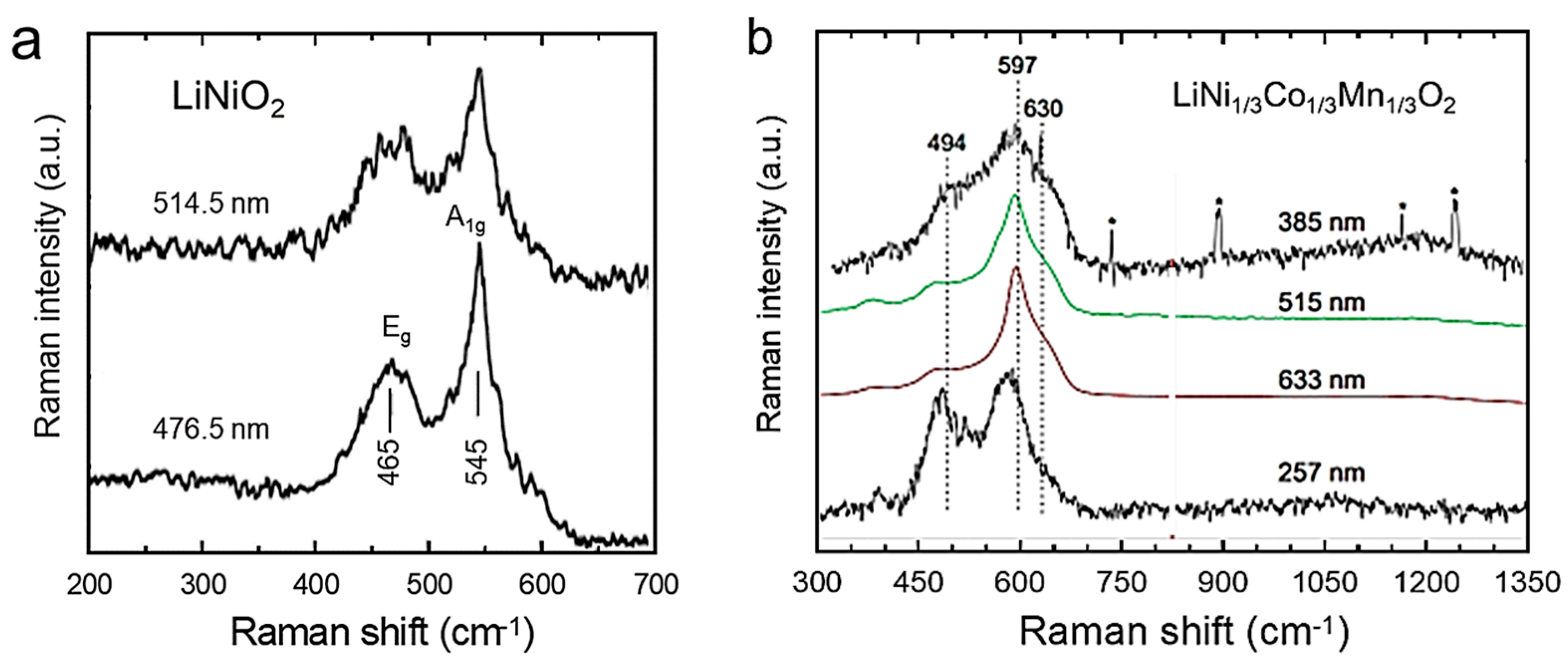Ijms 26 11879 g005 Ijms 26 11879 g005