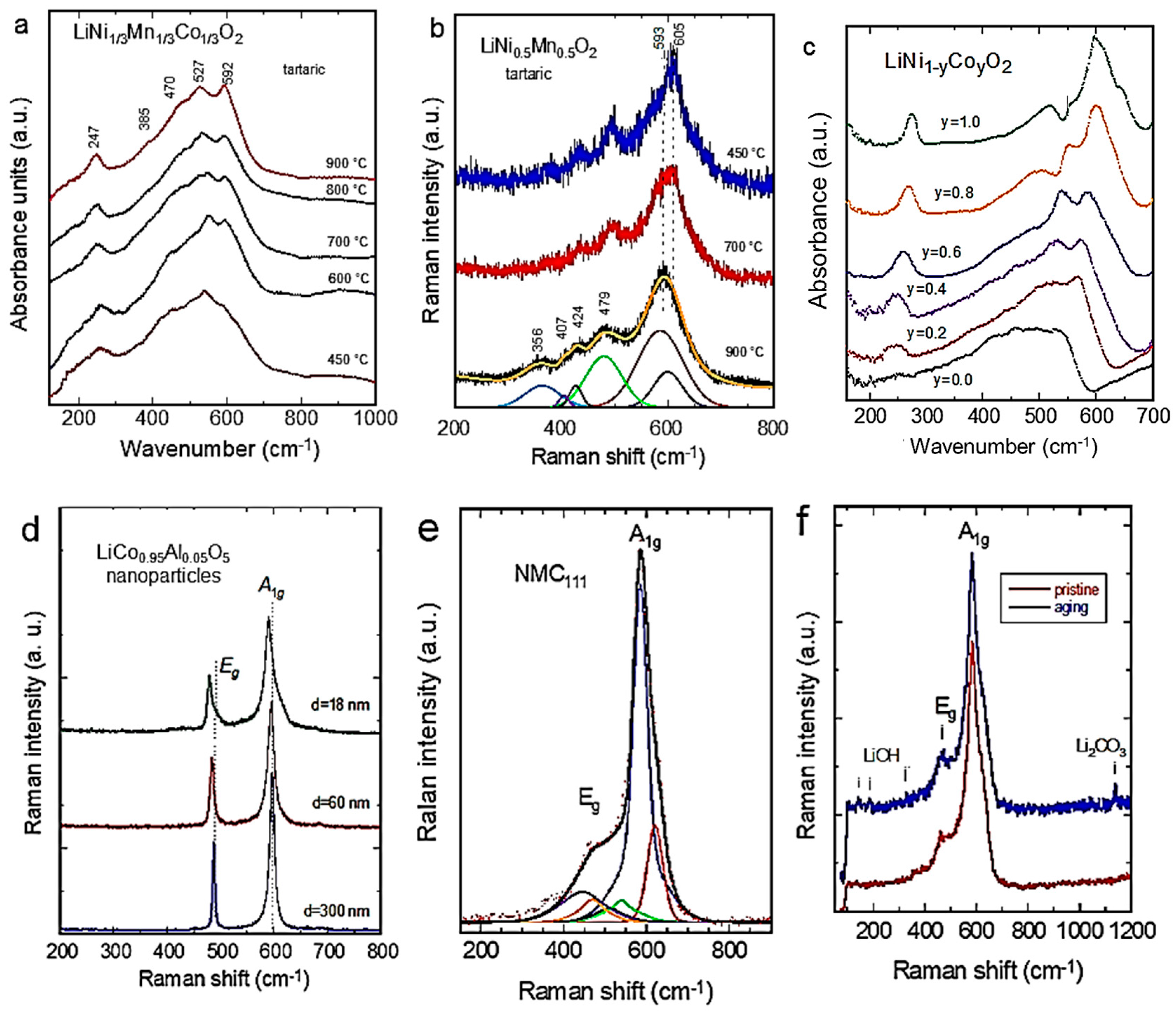 Ijms 26 11879 g008 Ijms 26 11879 g008
