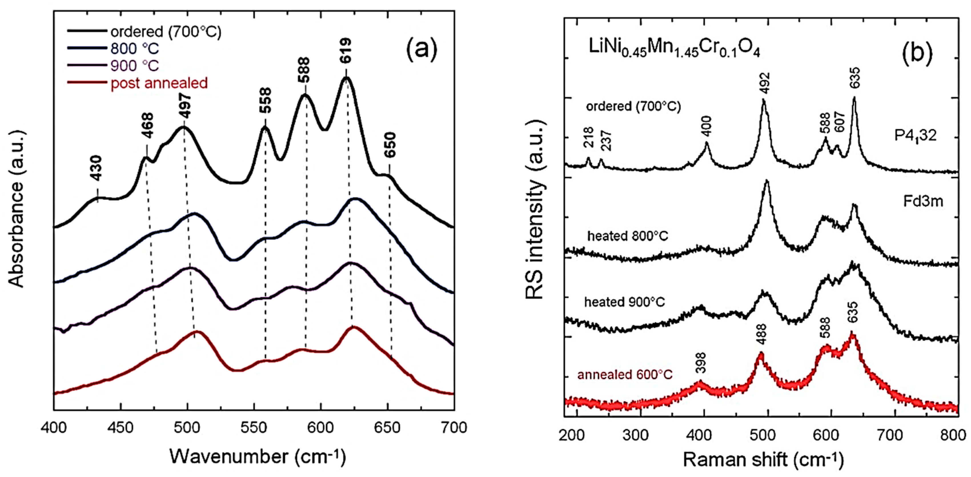Ijms 26 11879 g009 Ijms 26 11879 g009