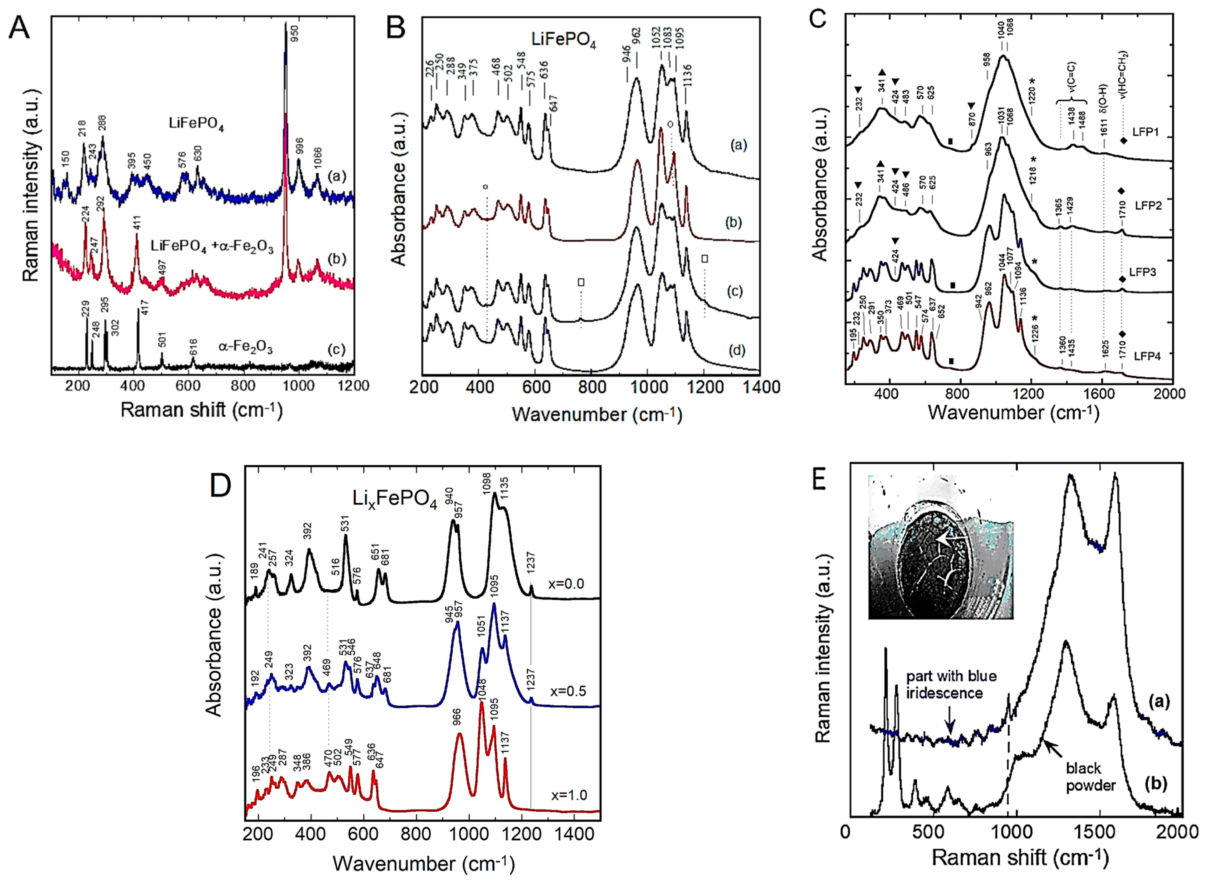 Ijms 26 11879 g010 Ijms 26 11879 g010