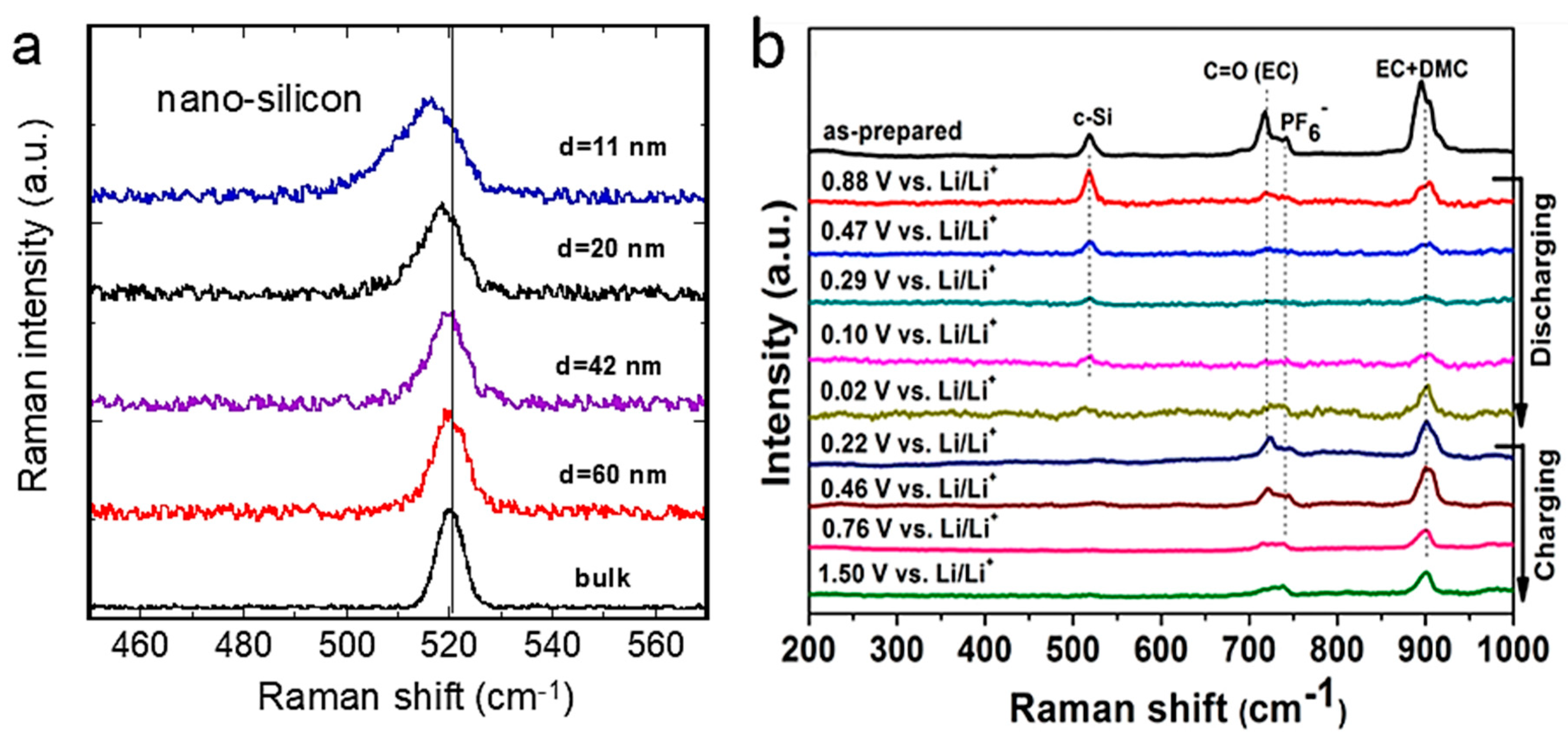 Ijms 26 11879 g013 Ijms 26 11879 g013