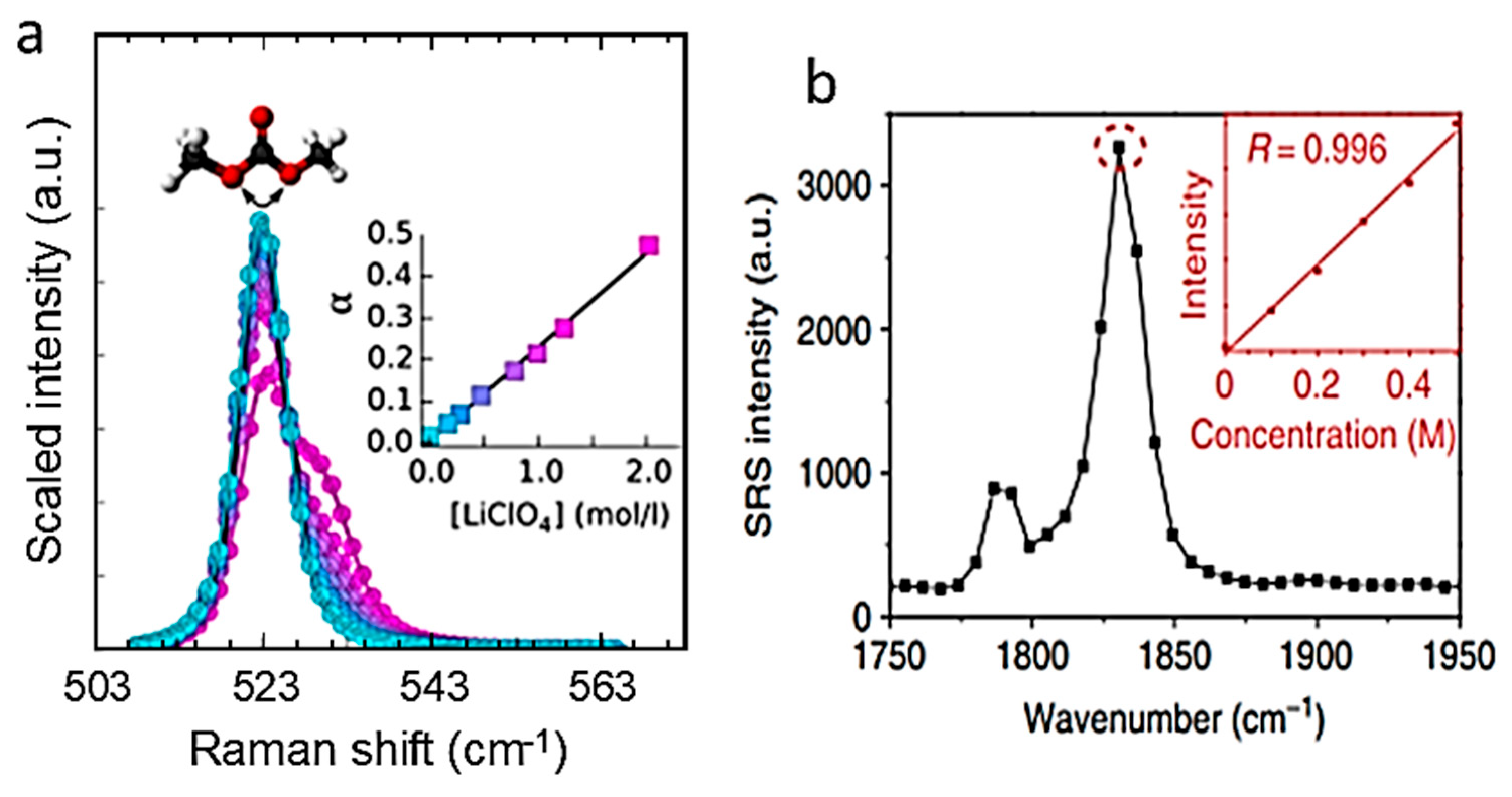Ijms 26 11879 g015 Ijms 26 11879 g015