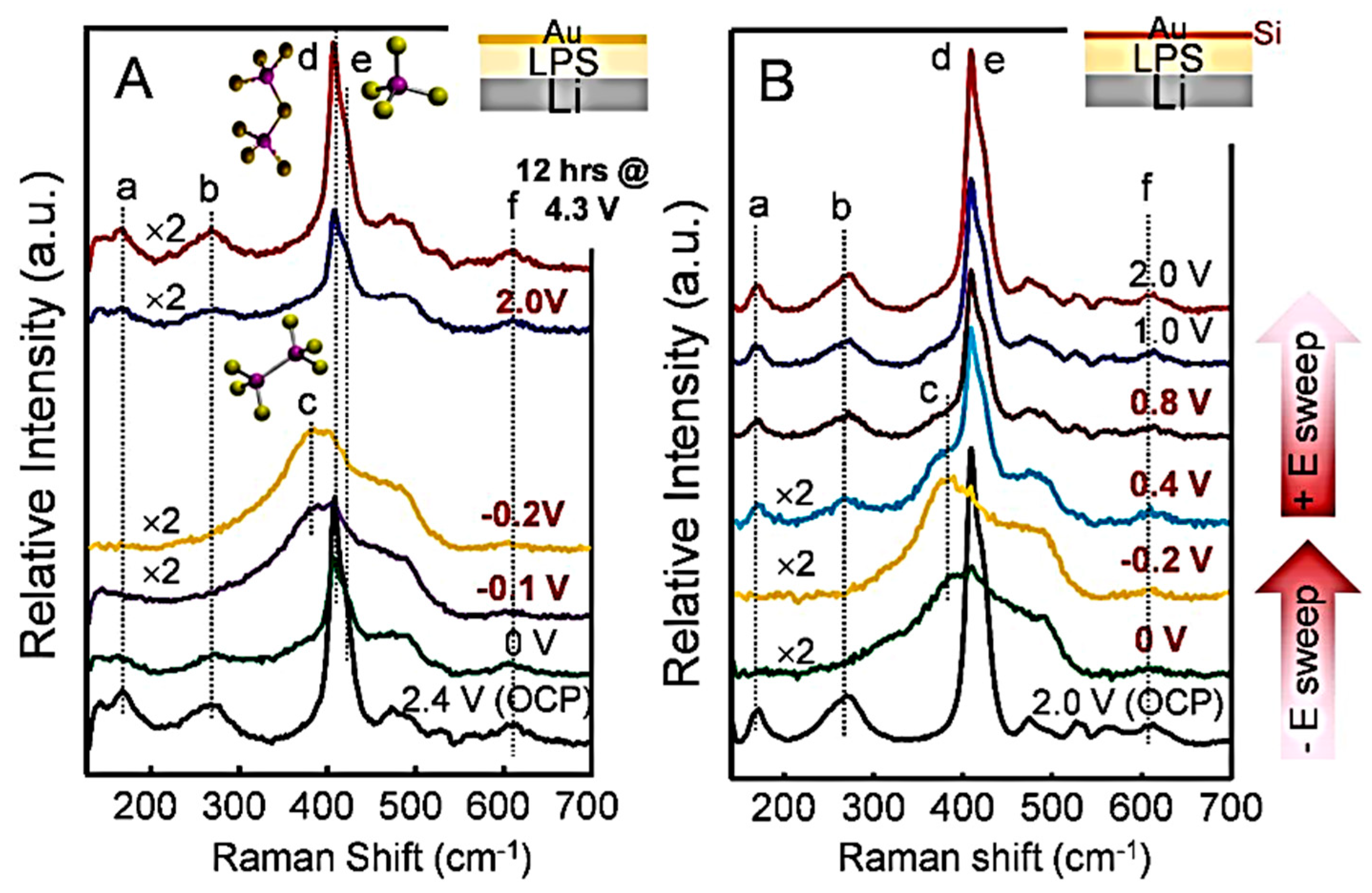 Ijms 26 11879 g017 Ijms 26 11879 g017