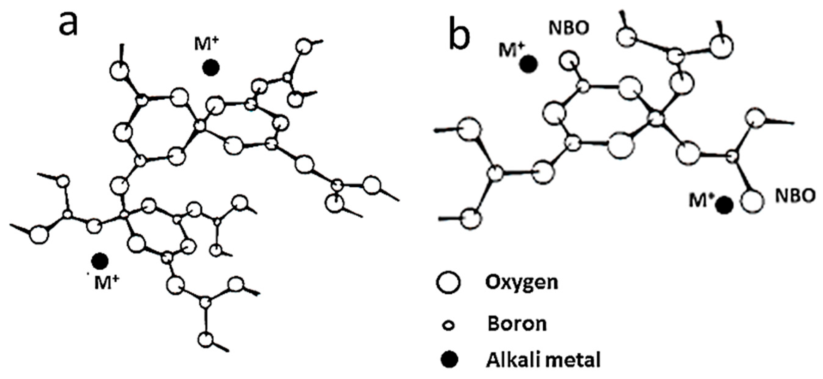 Ijms 26 11879 g019 Ijms 26 11879 g019