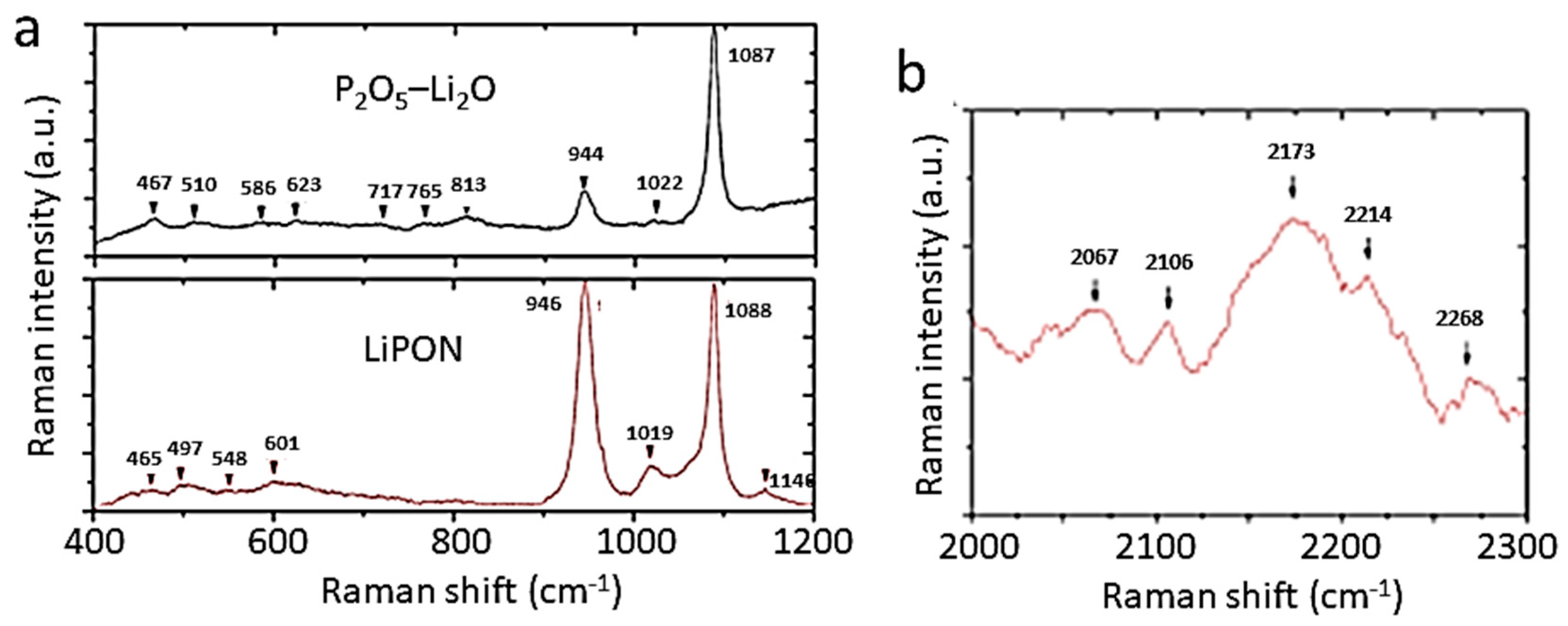 Ijms 26 11879 g023 Ijms 26 11879 g023