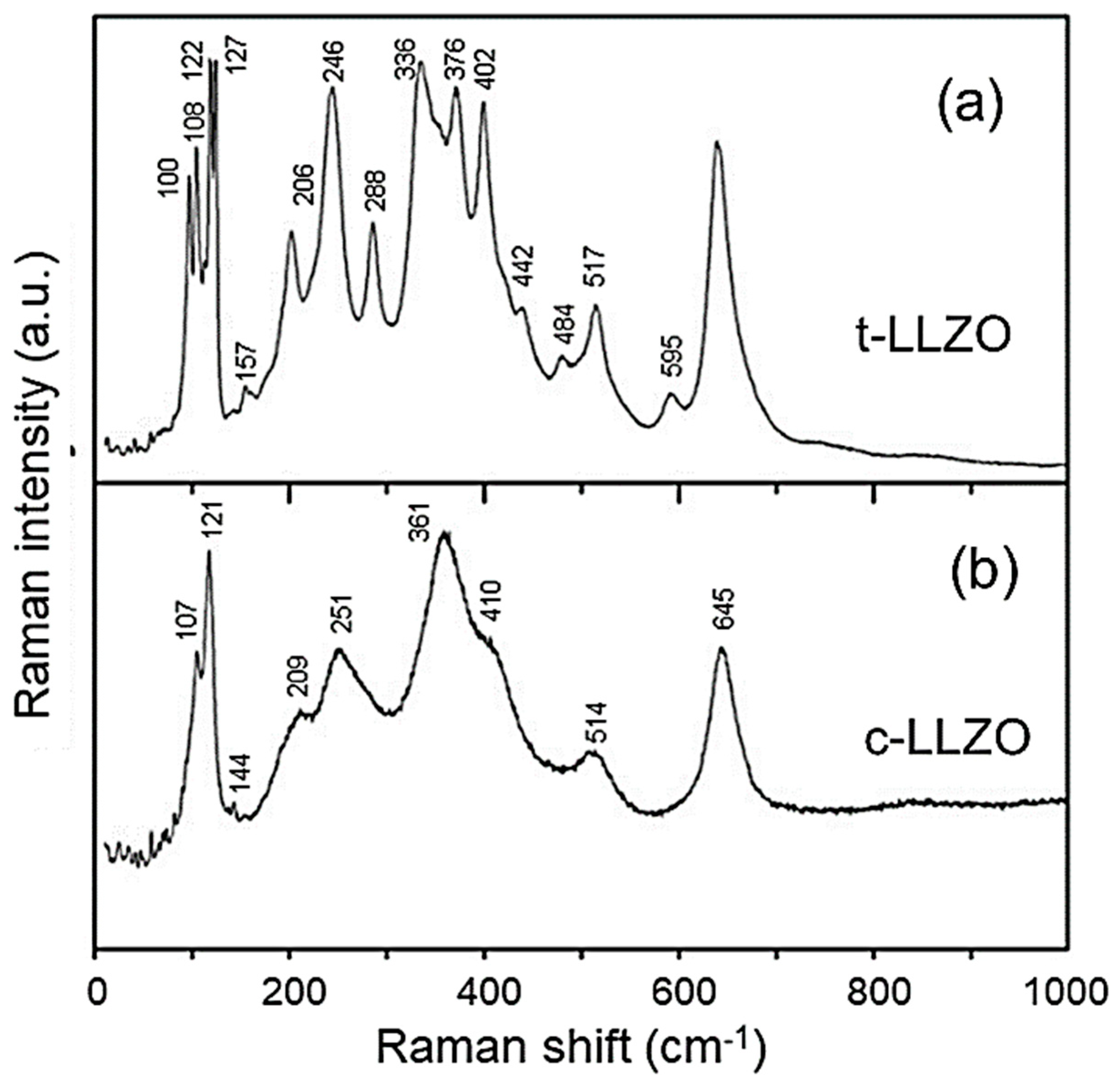 Ijms 26 11879 g024 Ijms 26 11879 g024