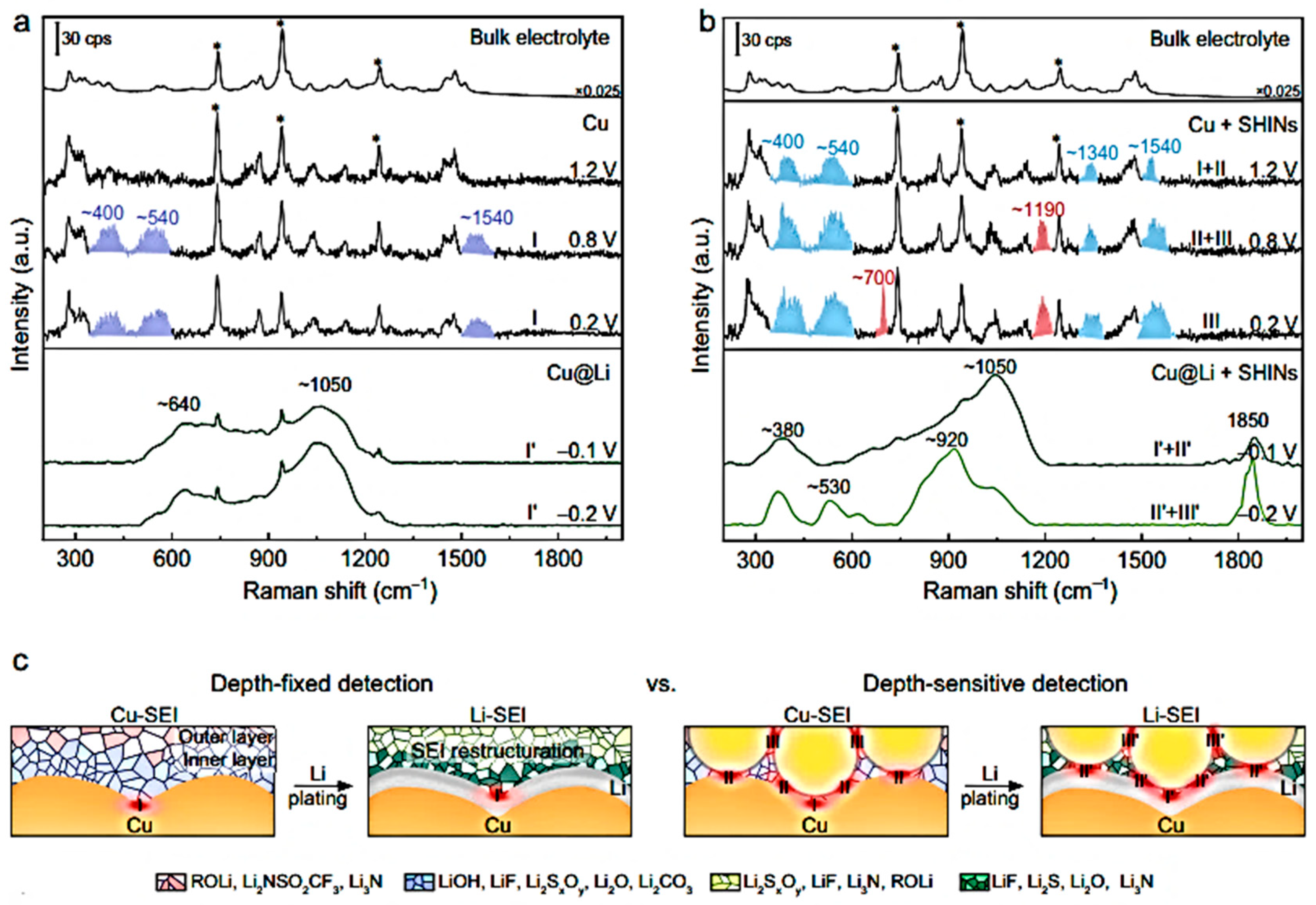 Ijms 26 11879 g026 Ijms 26 11879 g026