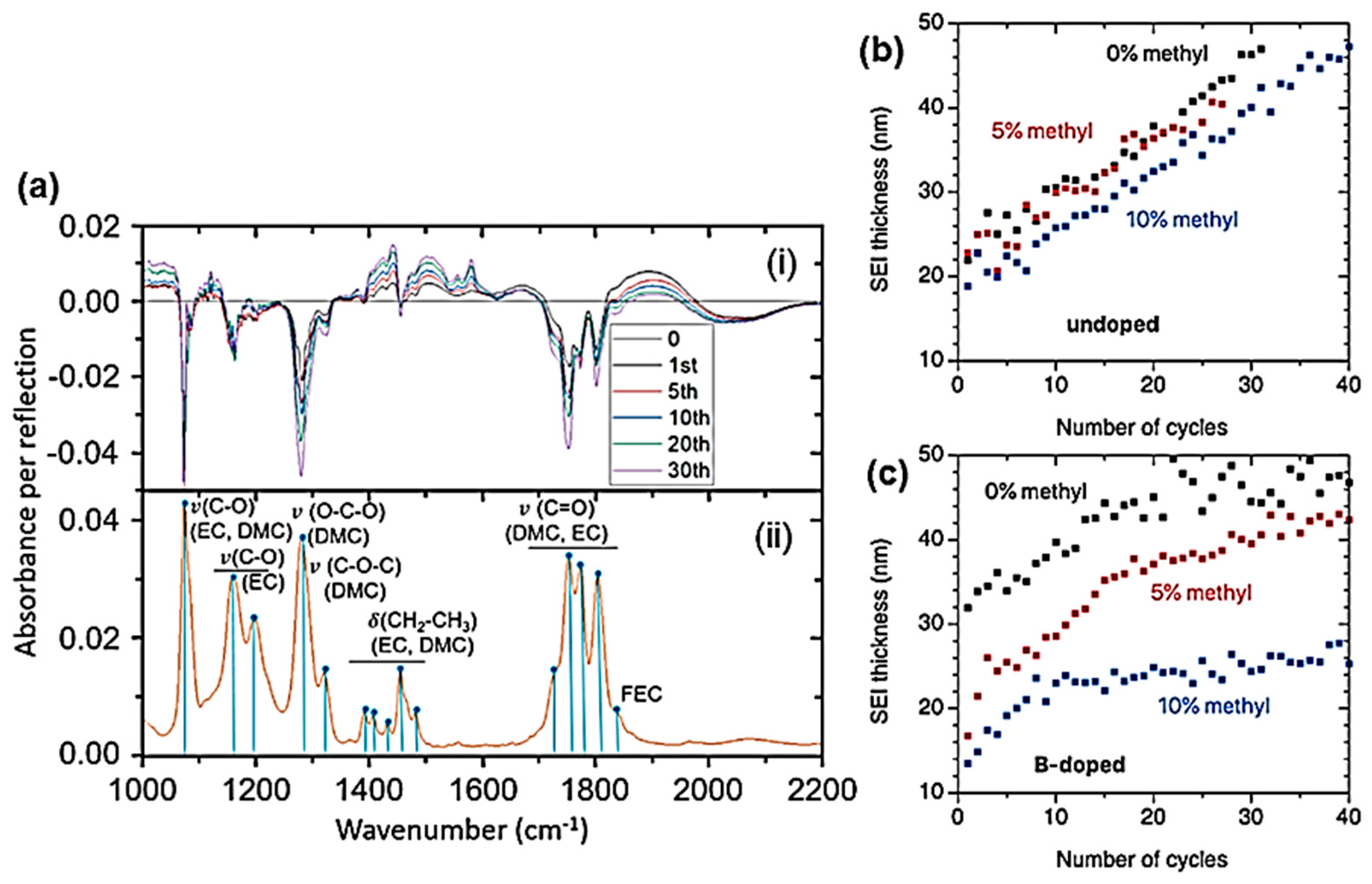 Ijms 26 11879 g027 Ijms 26 11879 g027