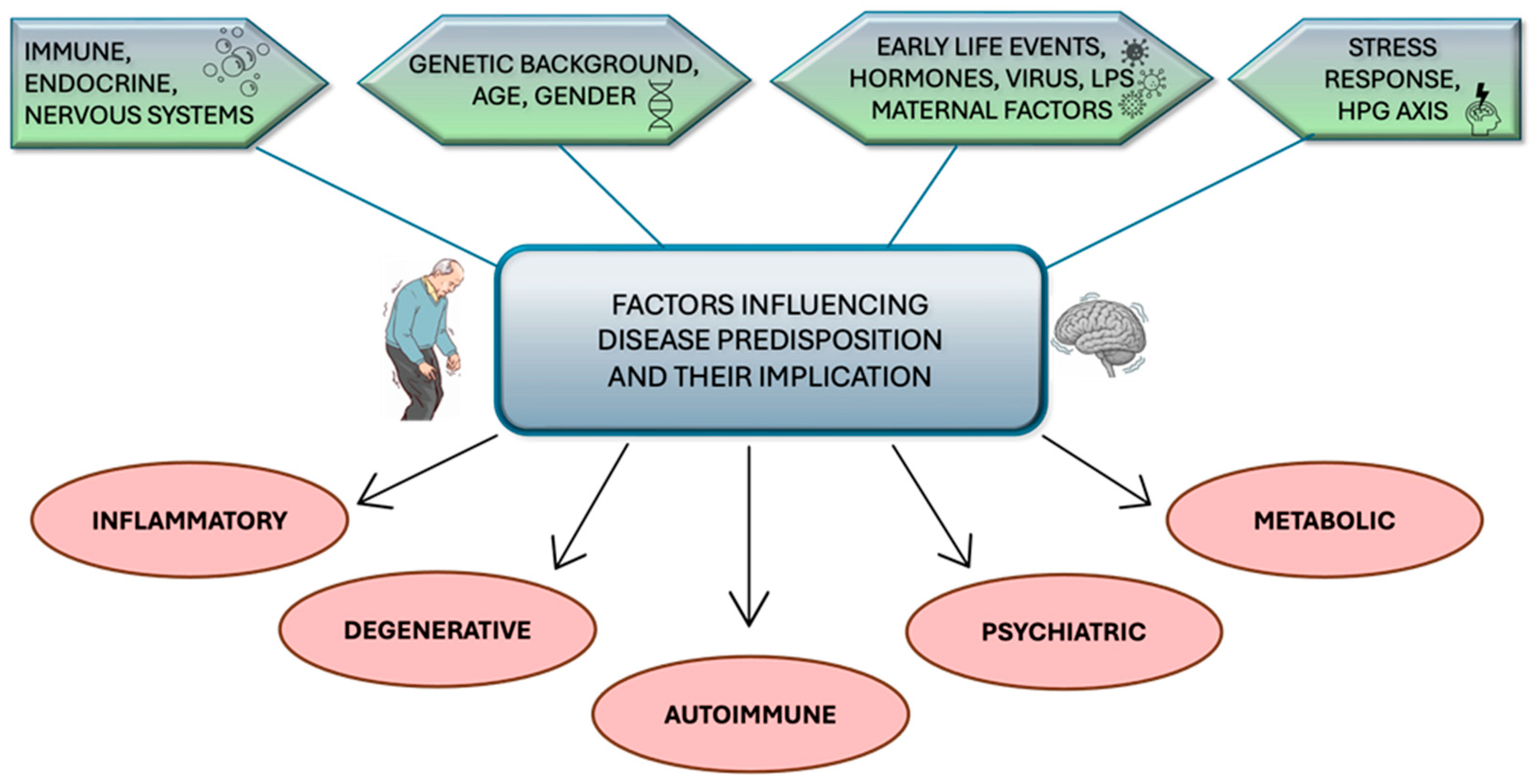 Ijms 26 11880 g001 Ijms 26 11880 g001