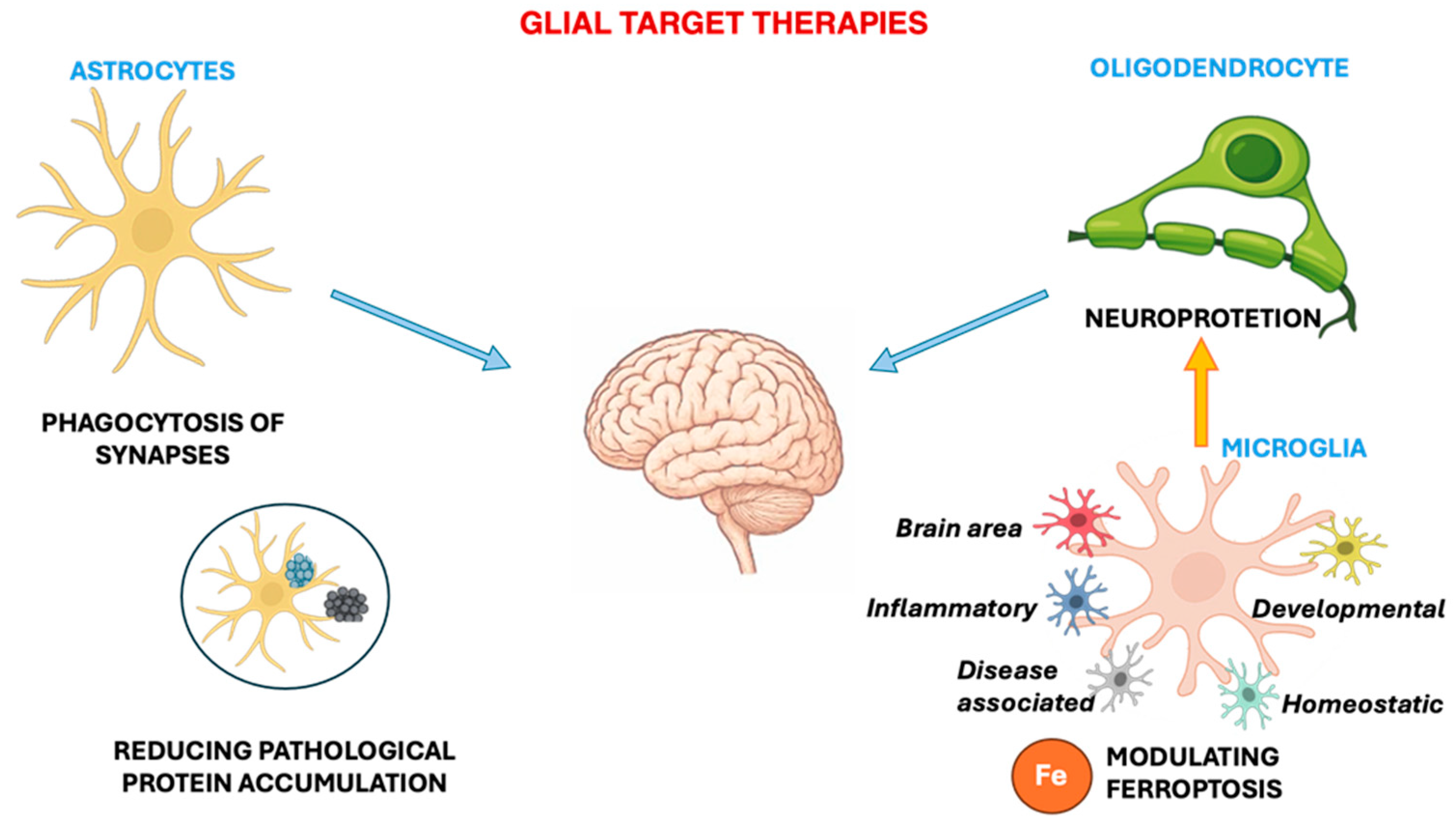 Ijms 26 11880 g006 Ijms 26 11880 g006